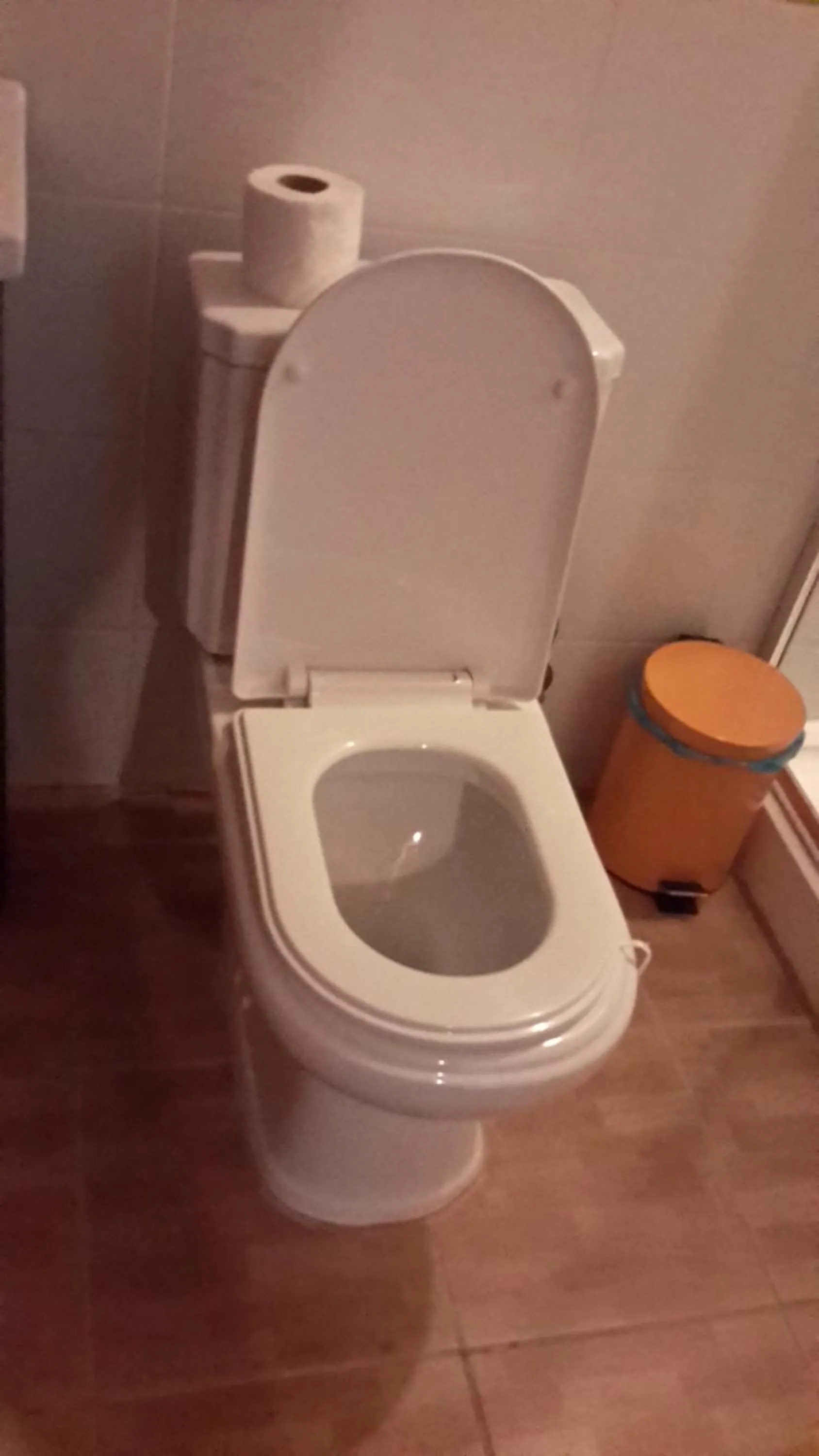 Albergaria Porcelana