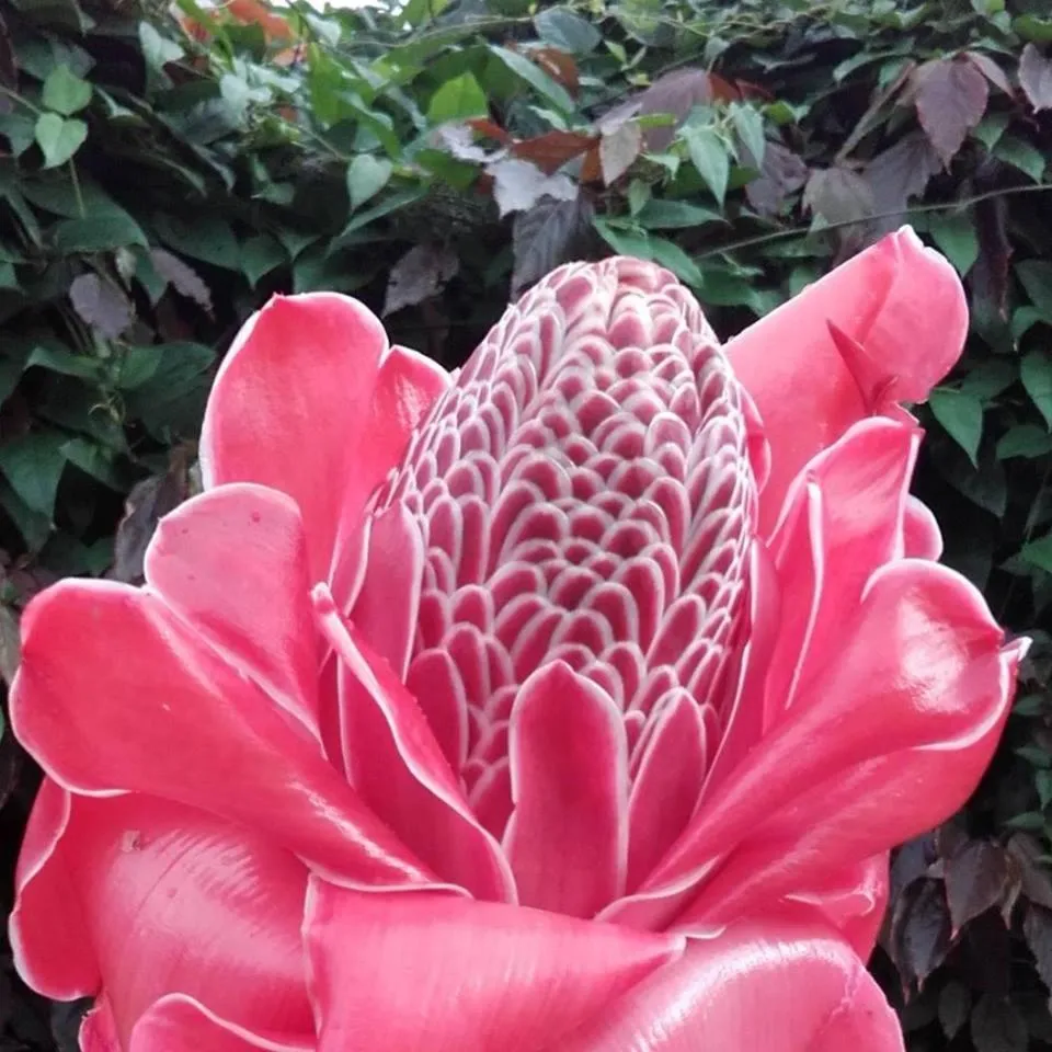 Property building in Albergaria Porcelana