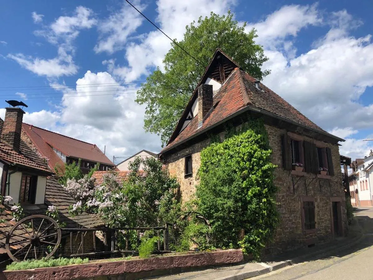 Facade/entrance in 1463 Apartmenthaus