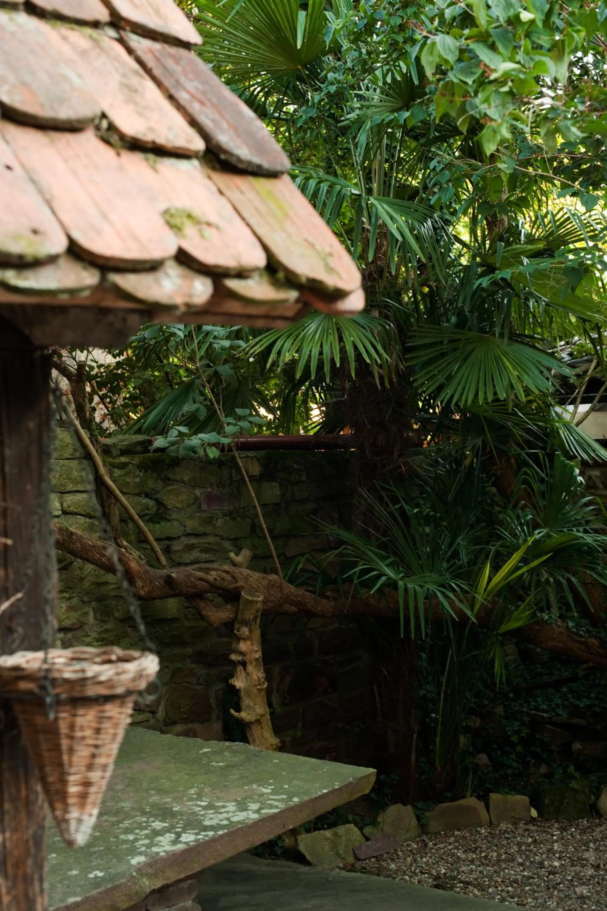 Patio in 1463 Apartmenthaus