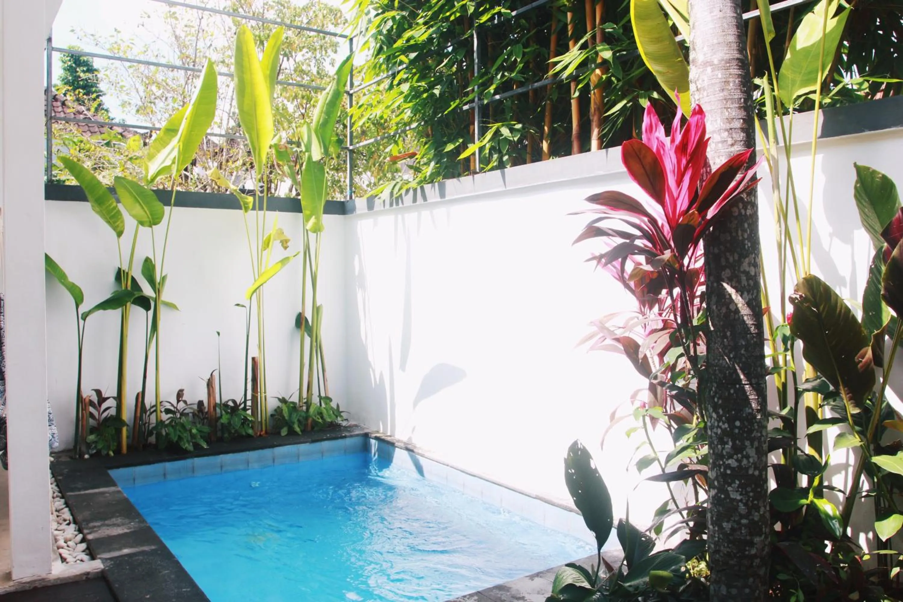 Pool view in ThanTha Ubud Villa