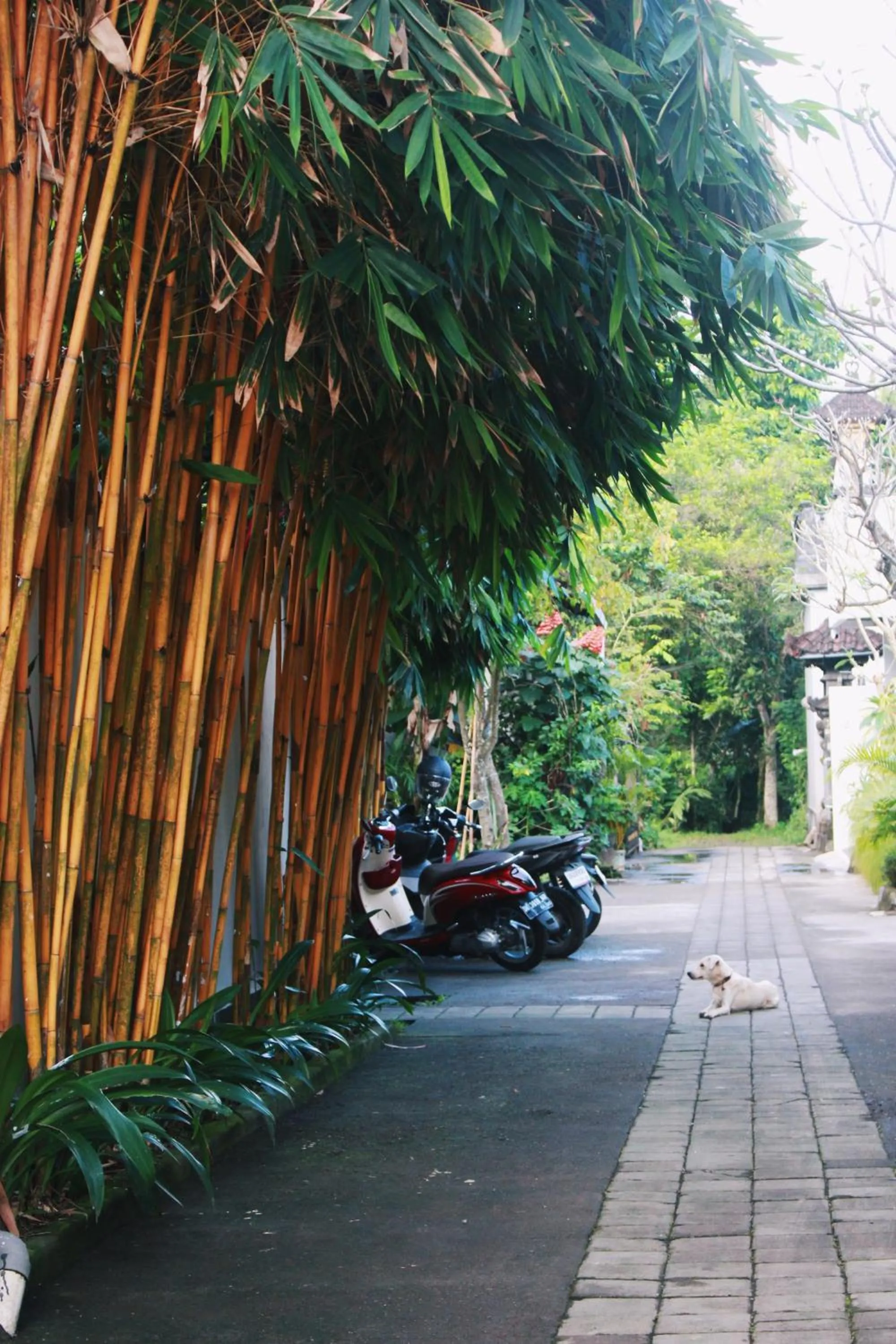 Neighbourhood in ThanTha Ubud Villa