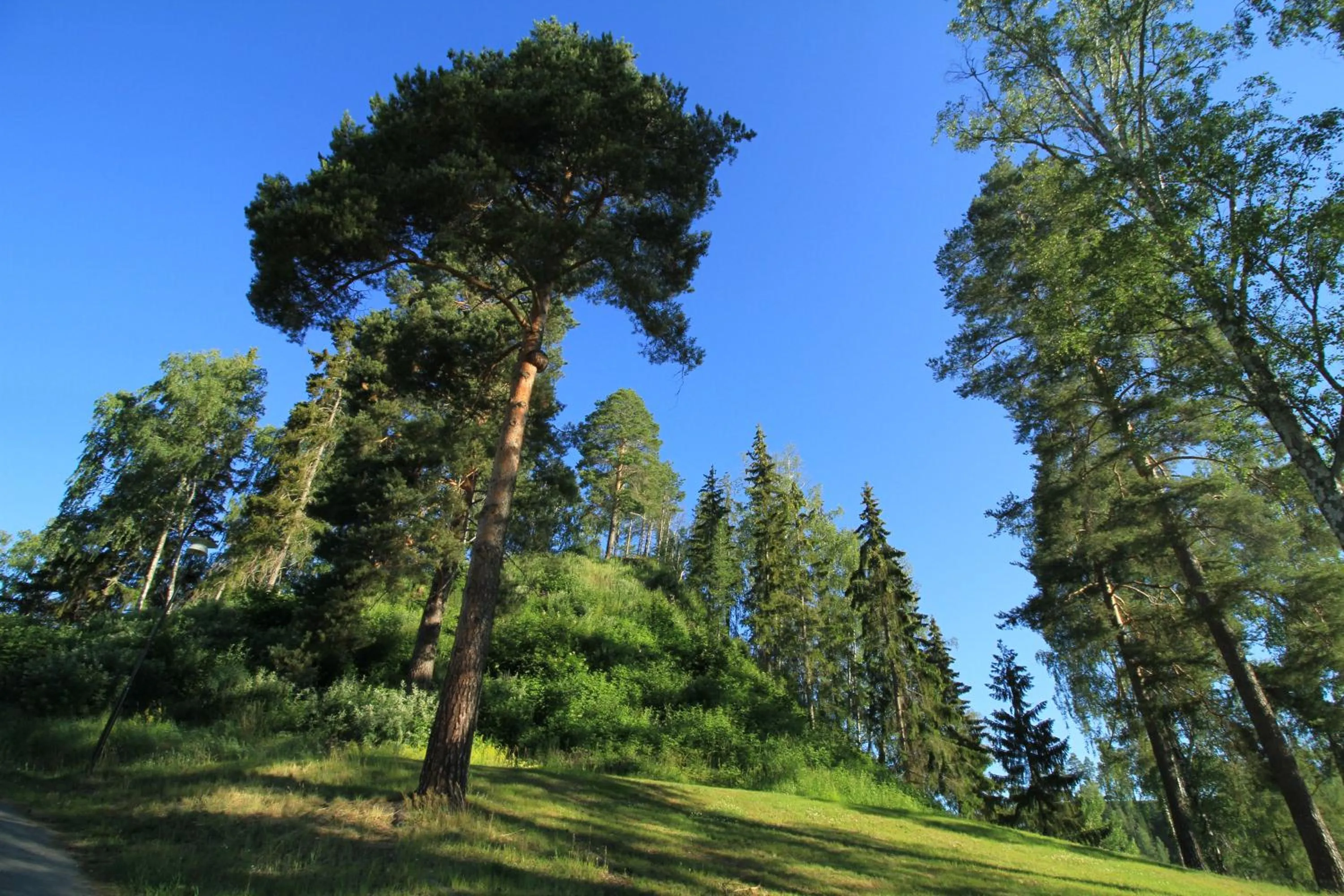 Nearby landmark in Hotel Sollefteå