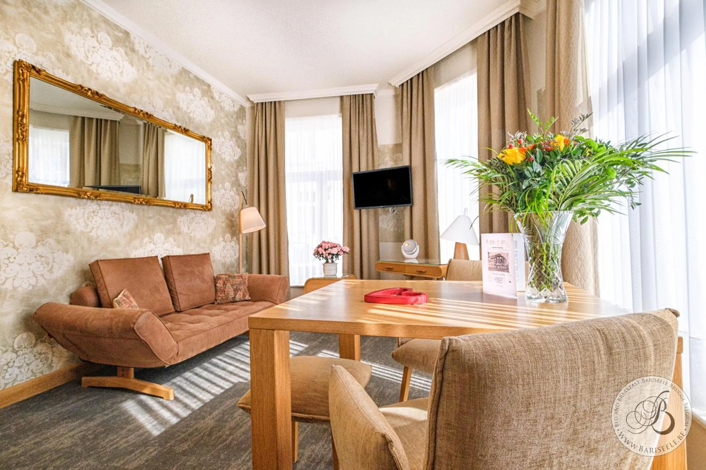 TV and multimedia in Bariseele B&B