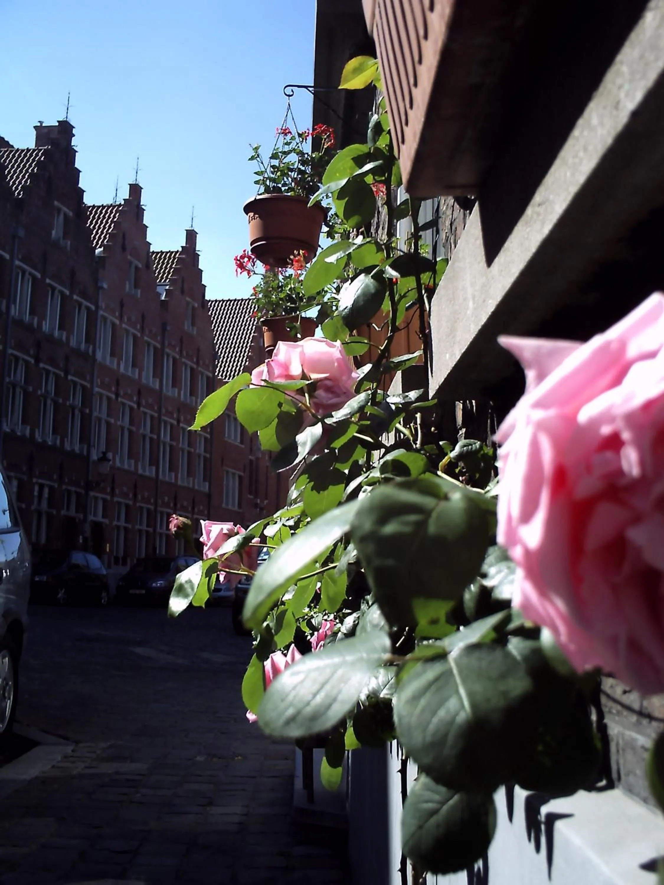 City view in Bariseele B&B