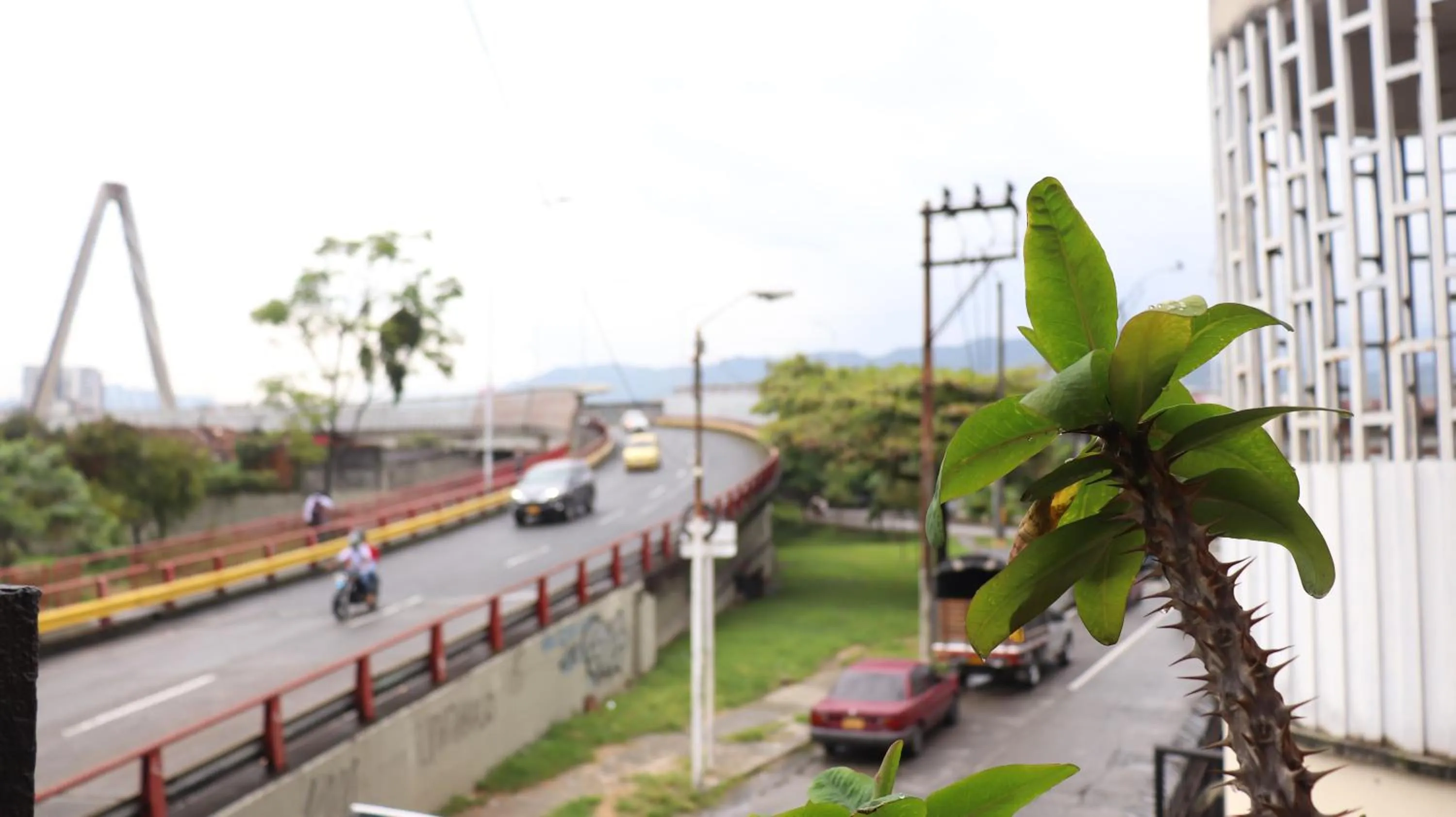 Natural landscape in Hotel Simón Plaza