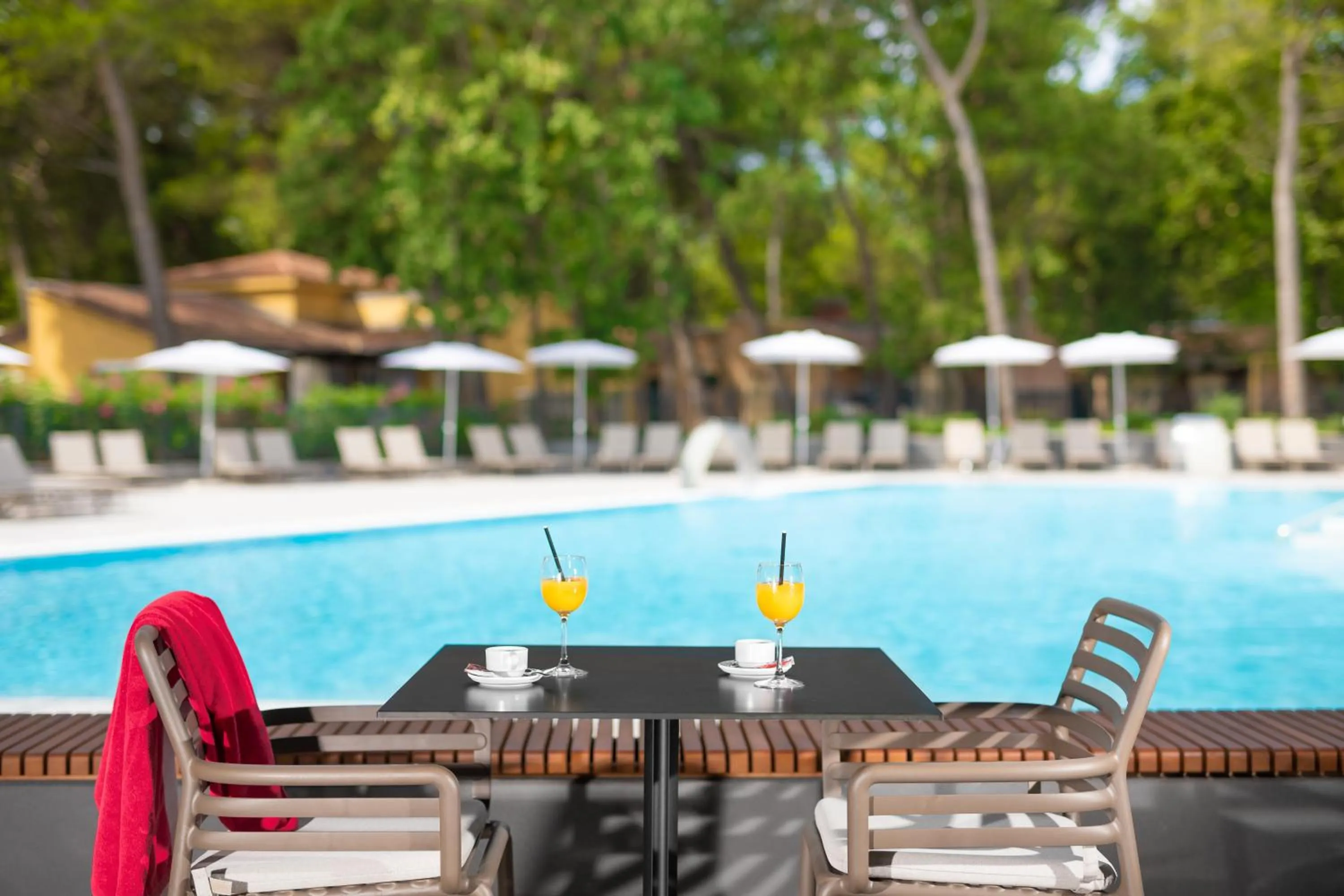 Swimming pool in Istrian Villas Plava Laguna