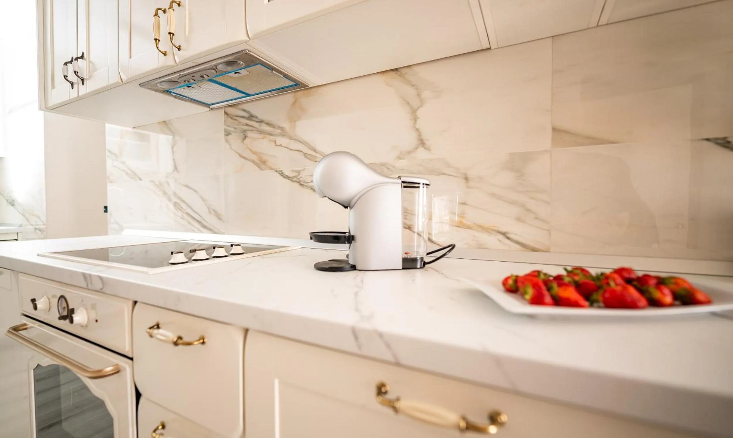 Kitchen or kitchenette in Villa Rustica Dalmatia