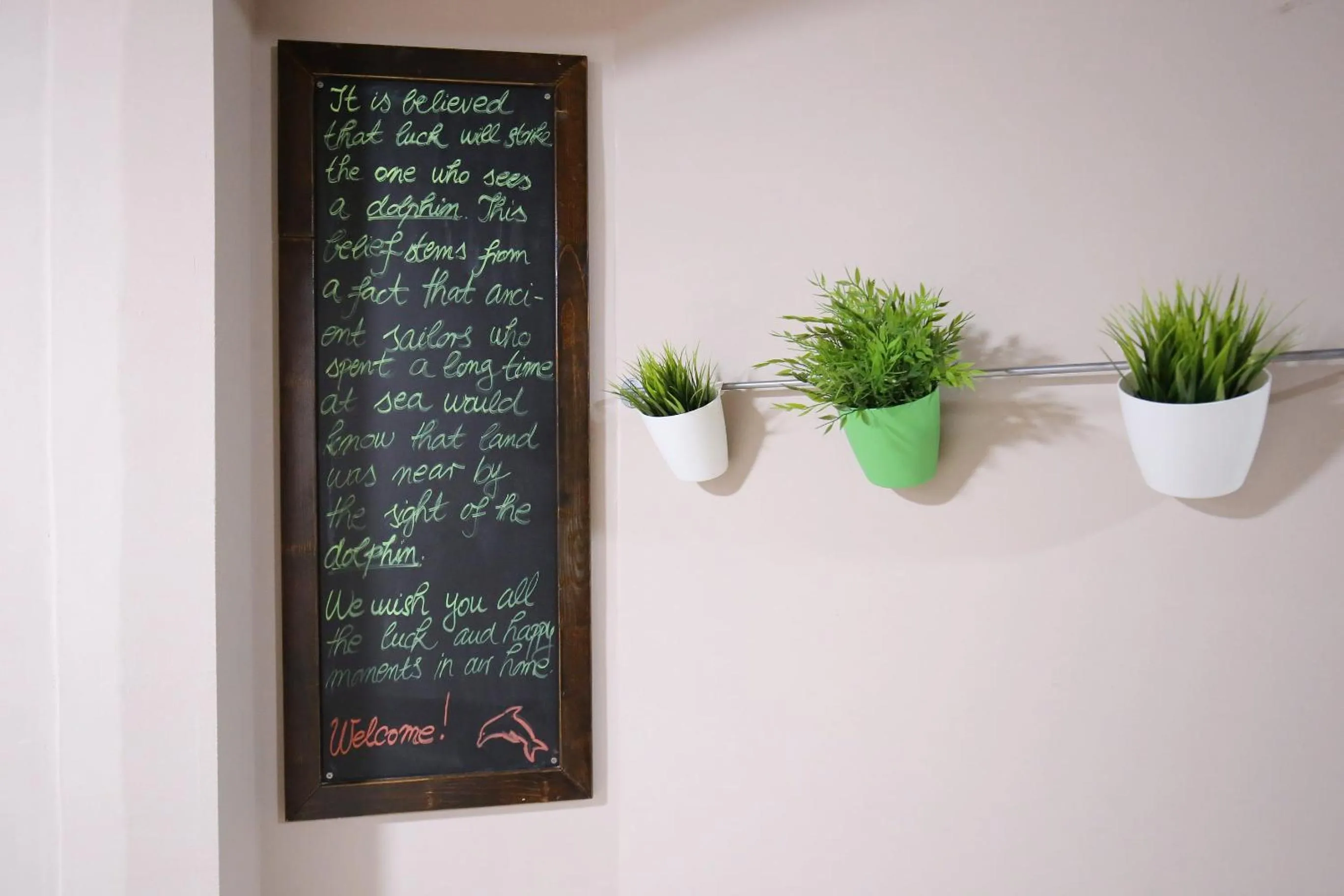 Area and facilities in Hotel Delfin