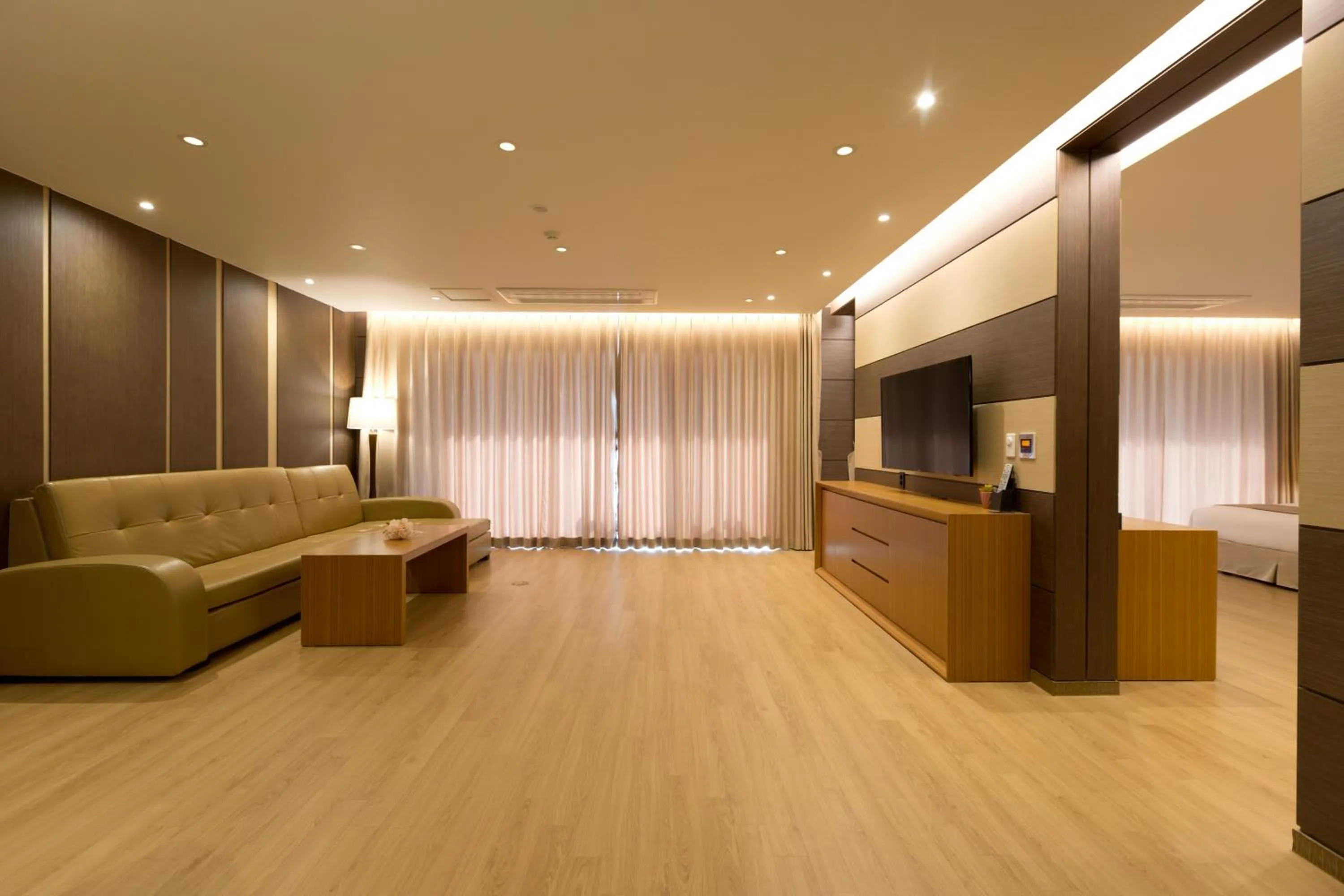 TV and multimedia in Incheon Stay Hotel