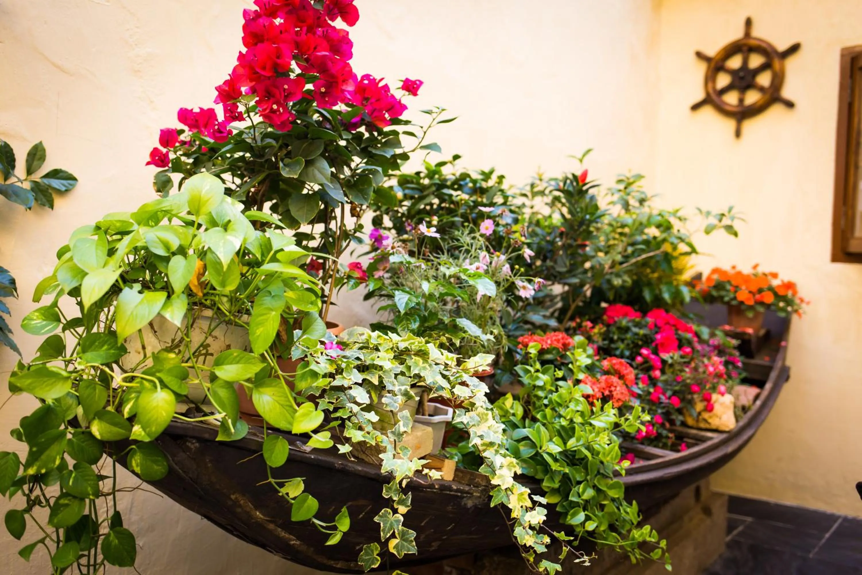 Garden view in Chaozhou Hello Inn