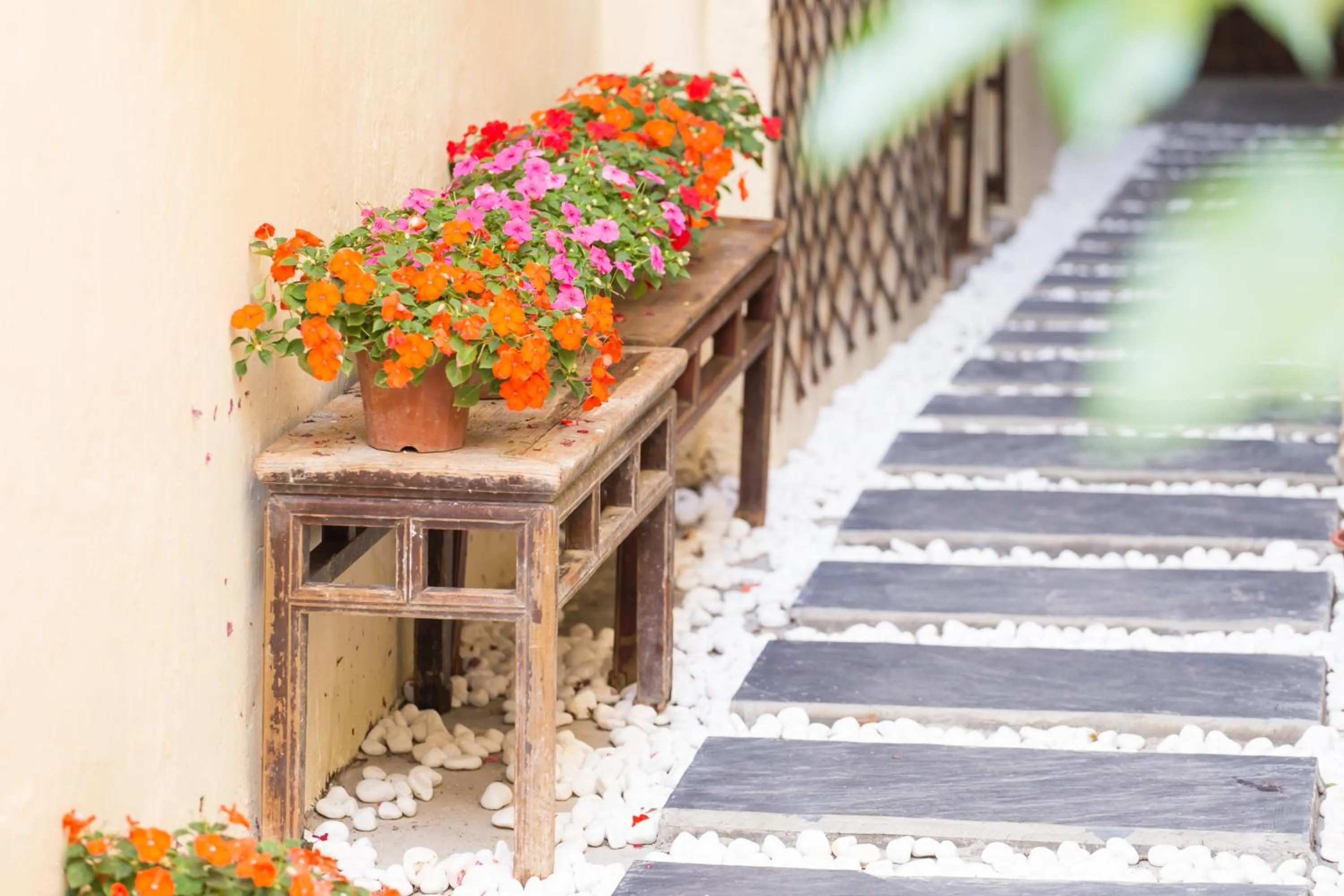 Garden in Chaozhou Hello Inn