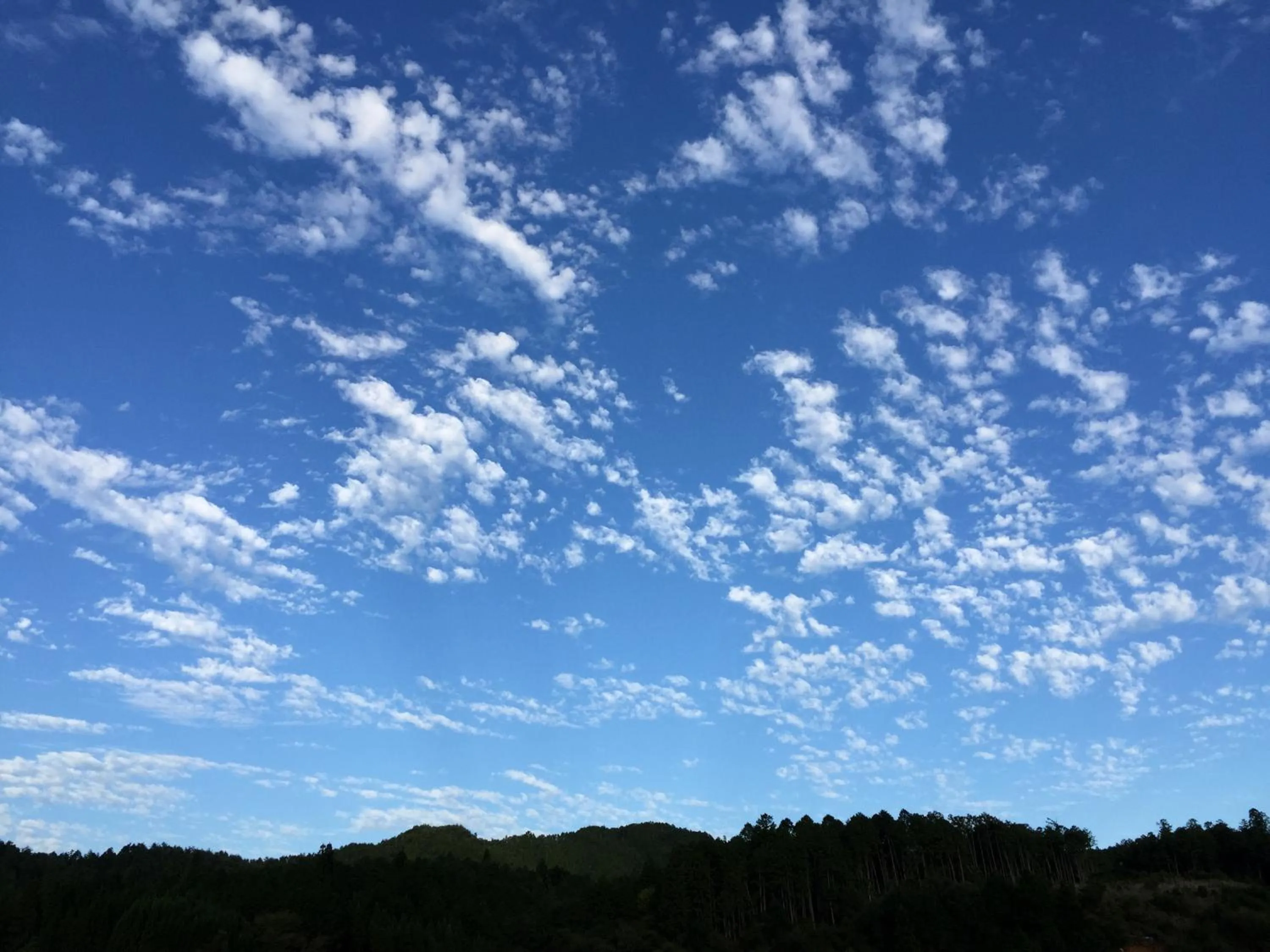 Autumn in Goemon Kyoto Japan