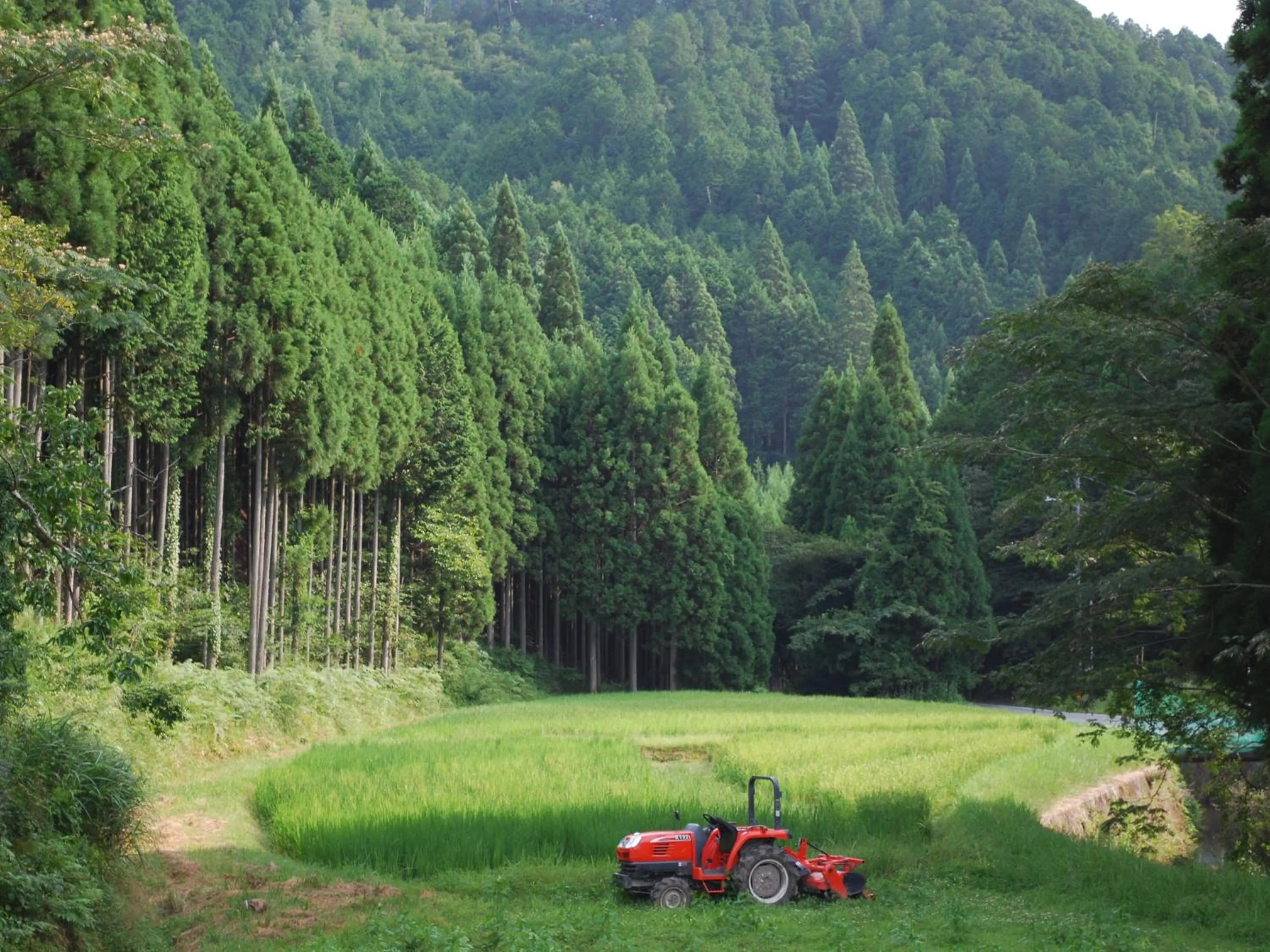 Off site in Goemon Kyoto Japan