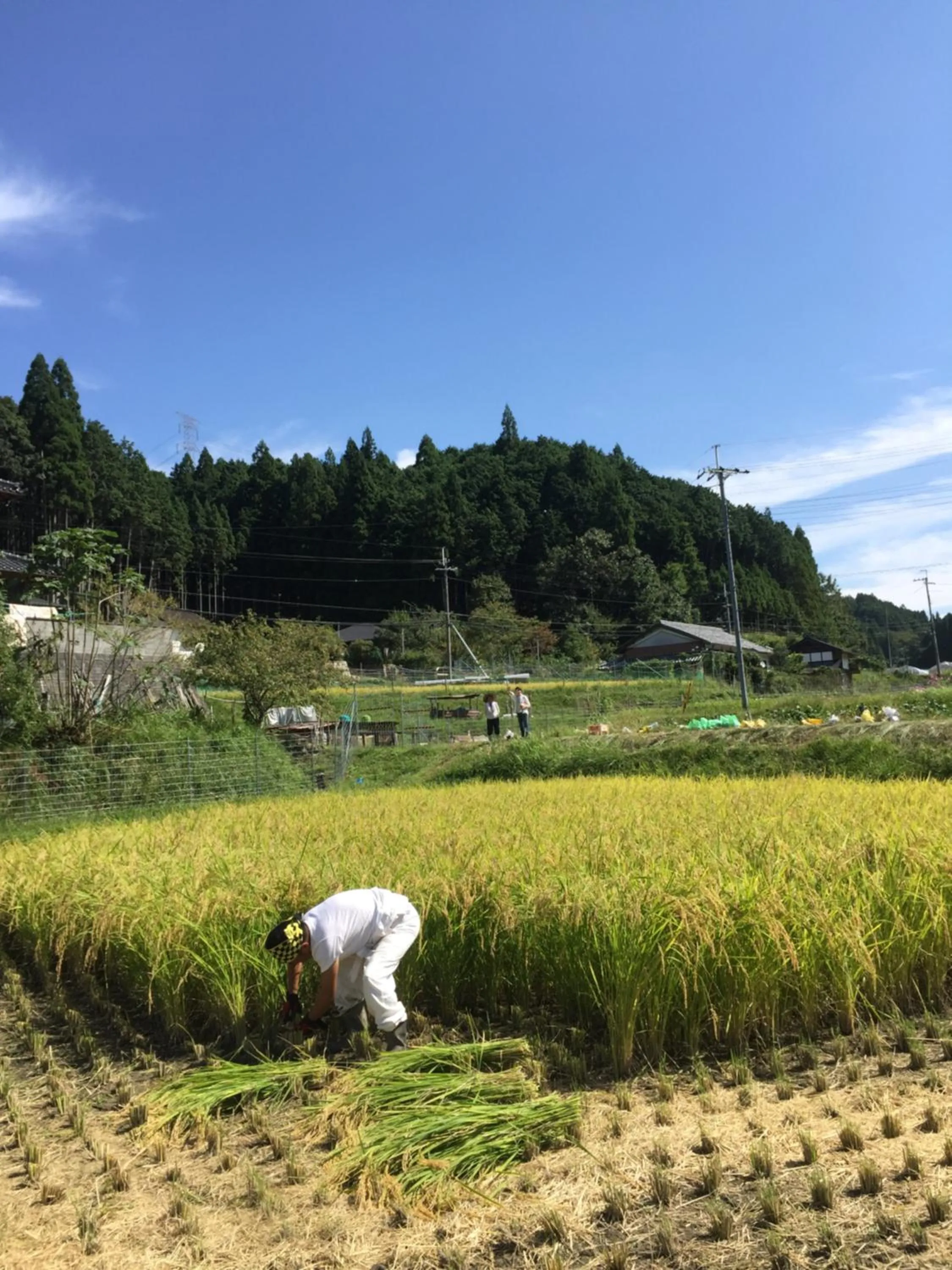 Neighbourhood in Goemon Kyoto Japan