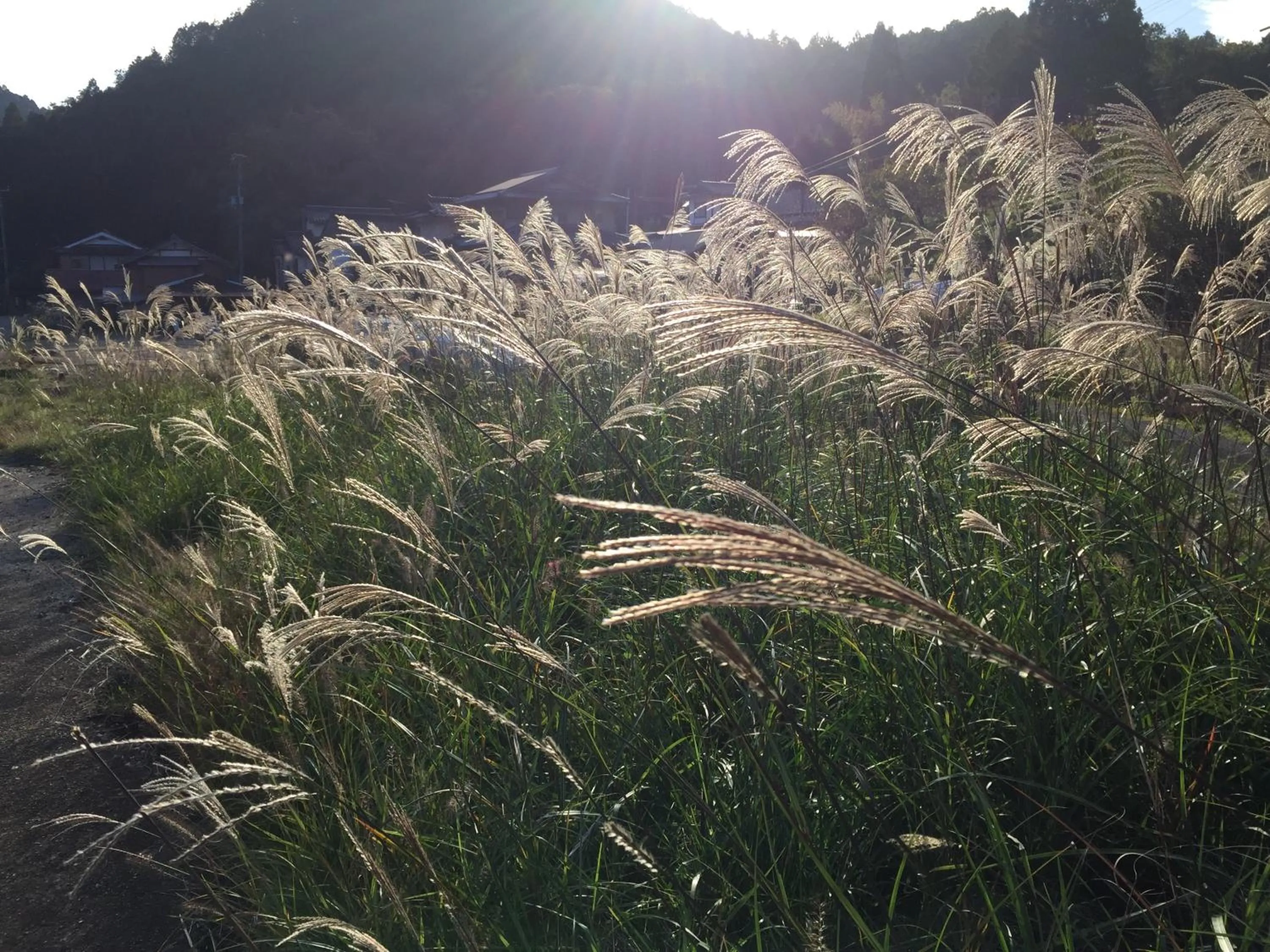 Off site in Goemon Kyoto Japan