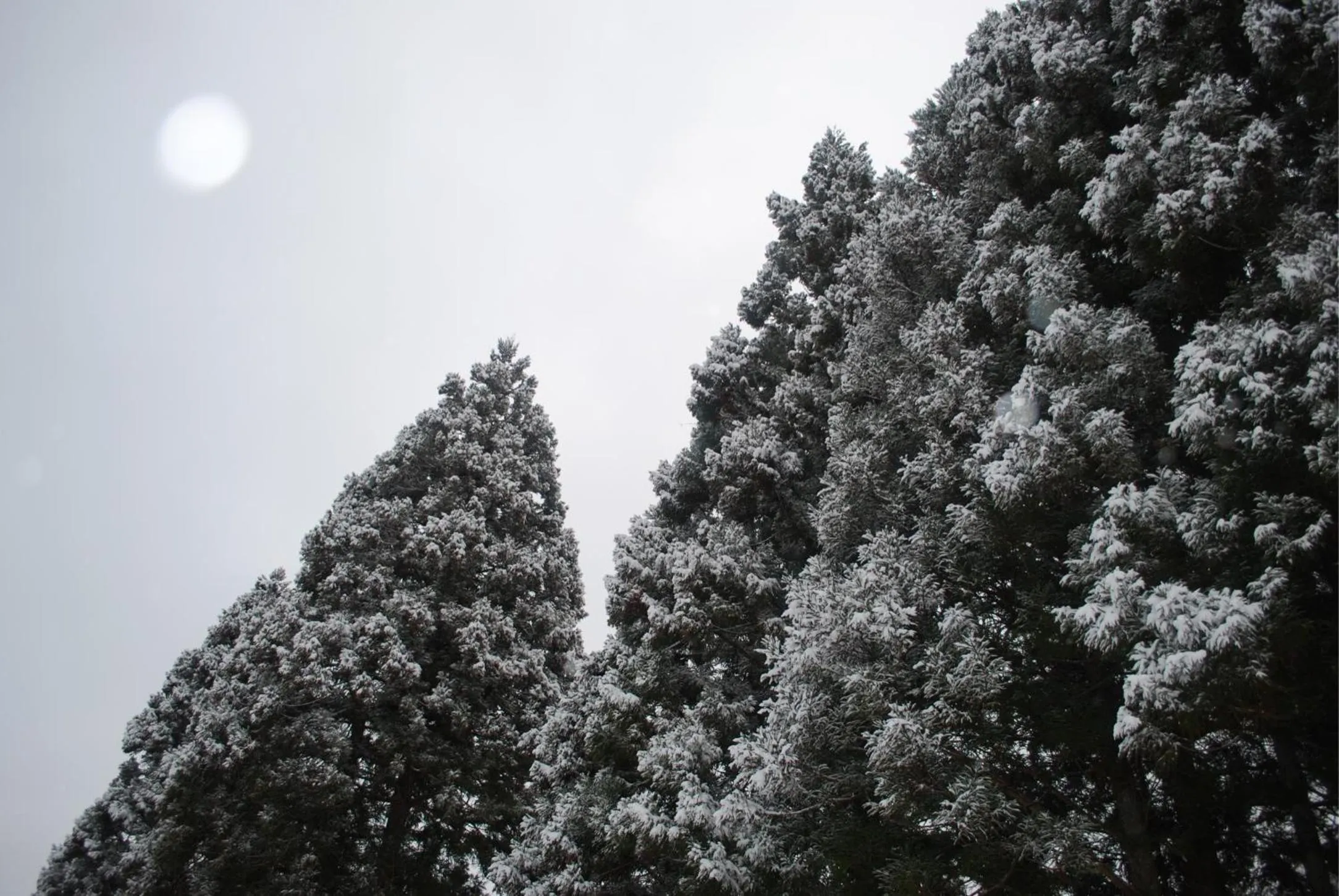 Neighbourhood in Goemon Kyoto Japan