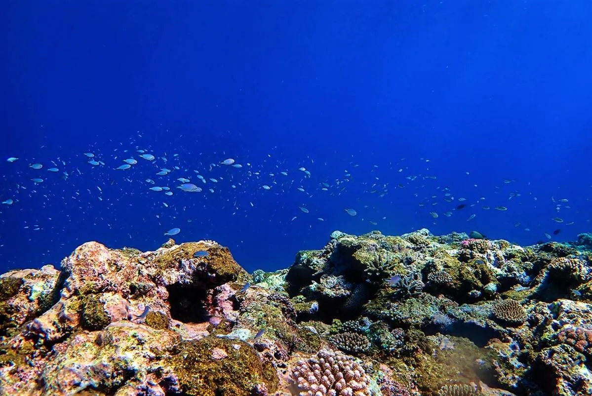 Natural landscape in Villabu Resort