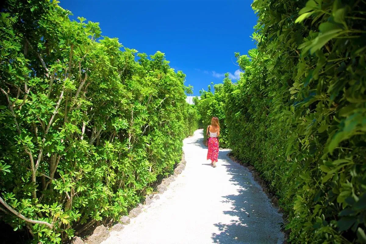Garden in Villabu Resort