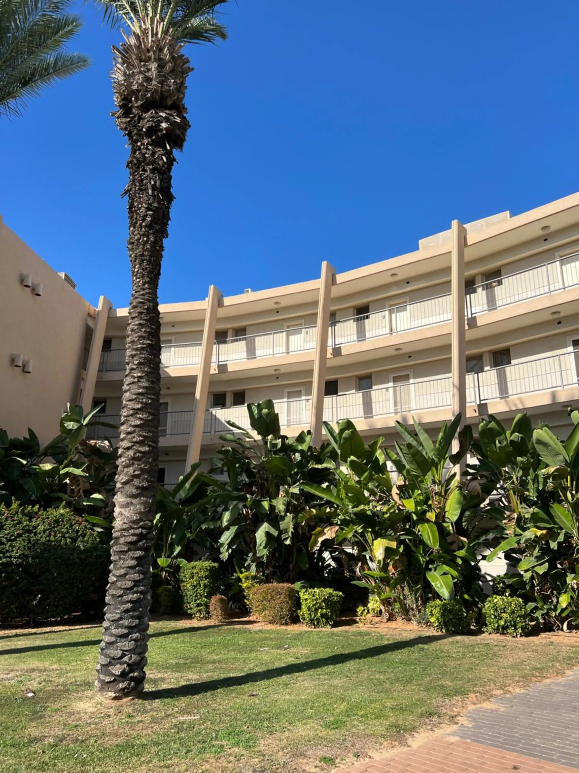 Neot Golf, Ziv's Place