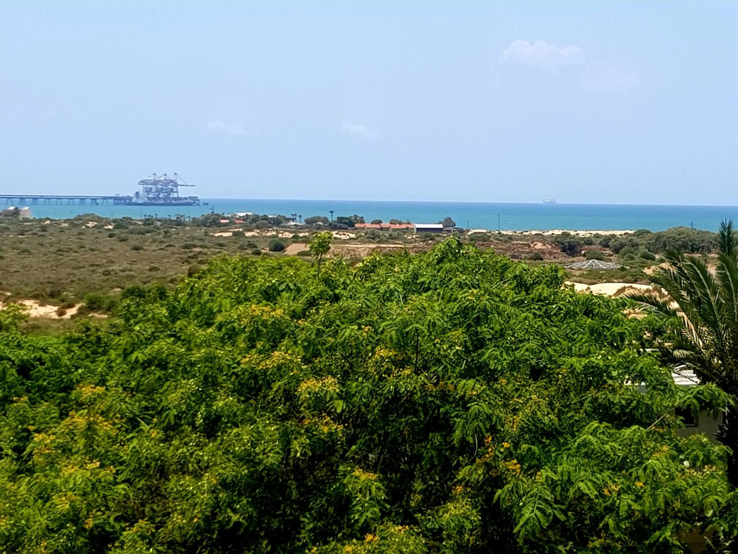 Natural landscape in Neot Golf, Ziv's Place