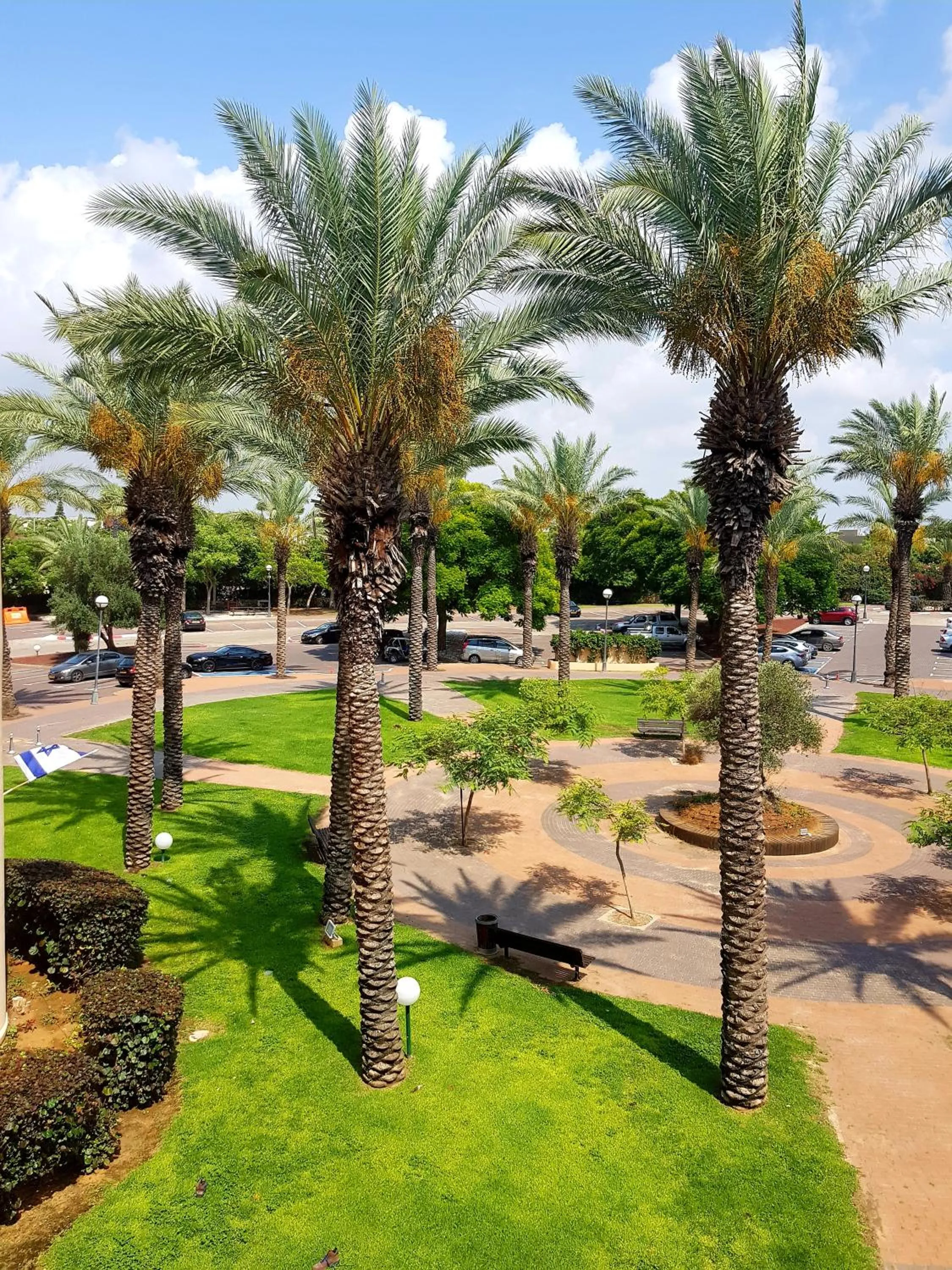 Off site in Neot Golf, Ziv's Place