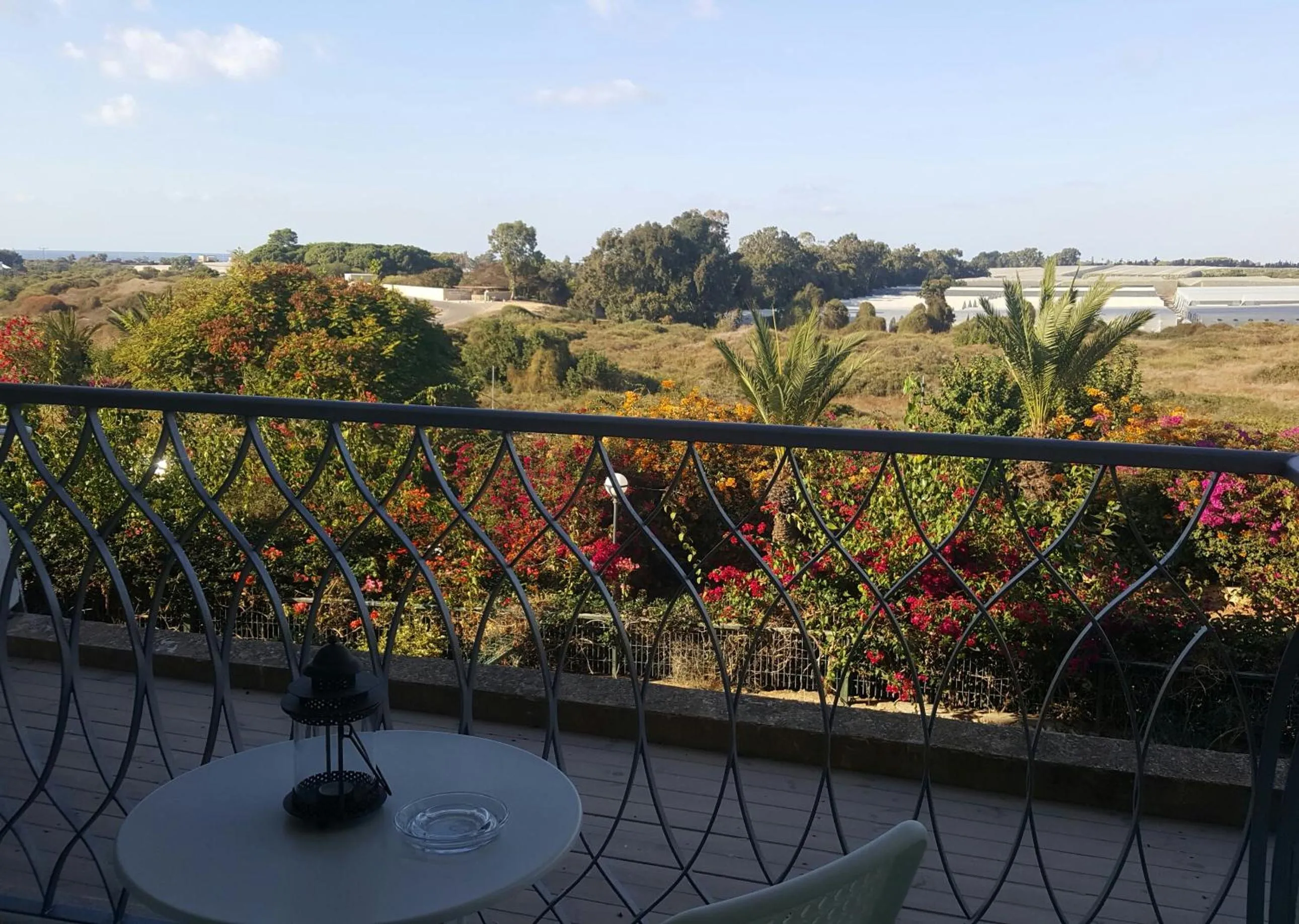 Natural landscape in Neot Golf, Ziv's Place