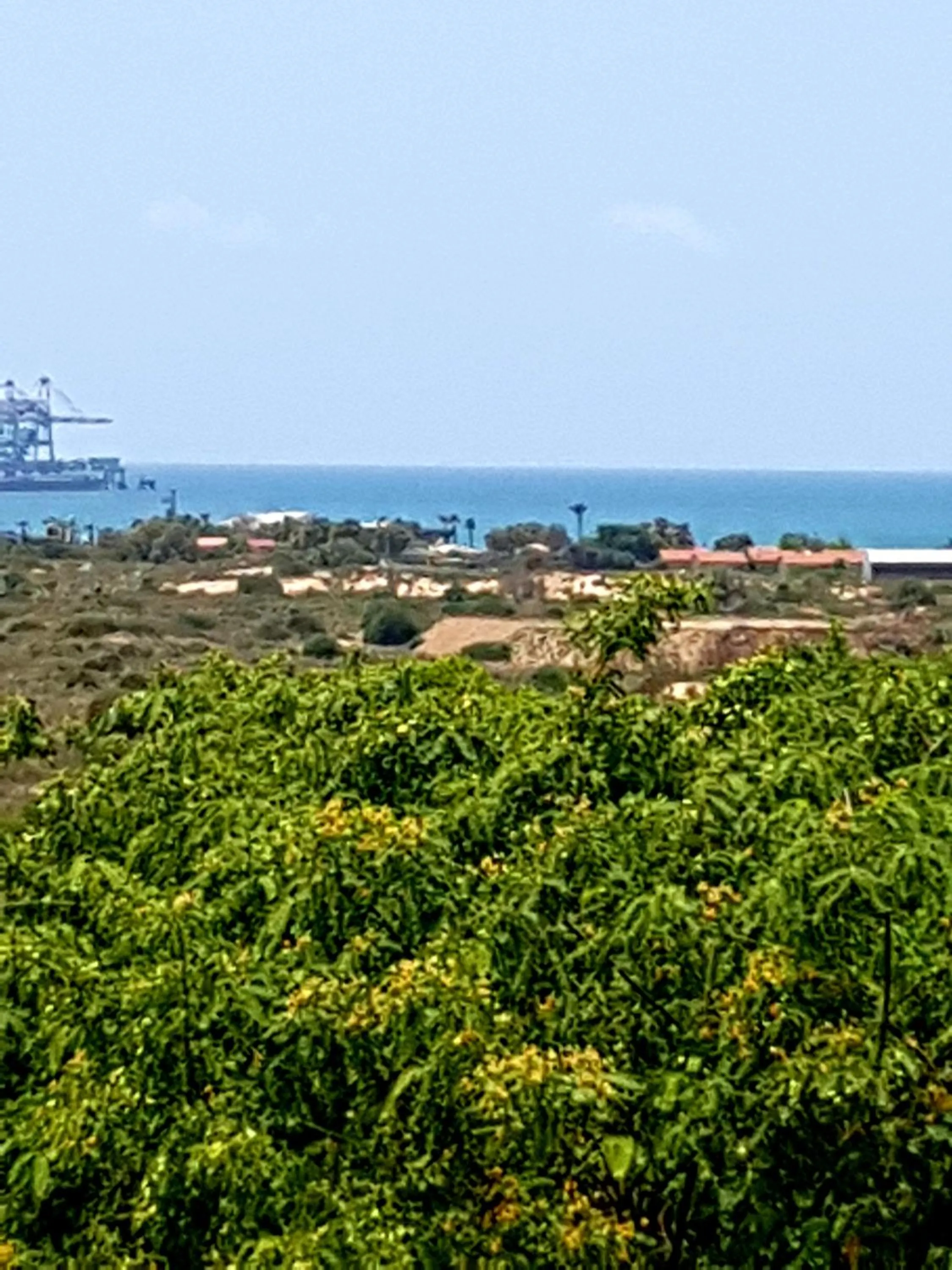Natural landscape in Neot Golf, Ziv's Place