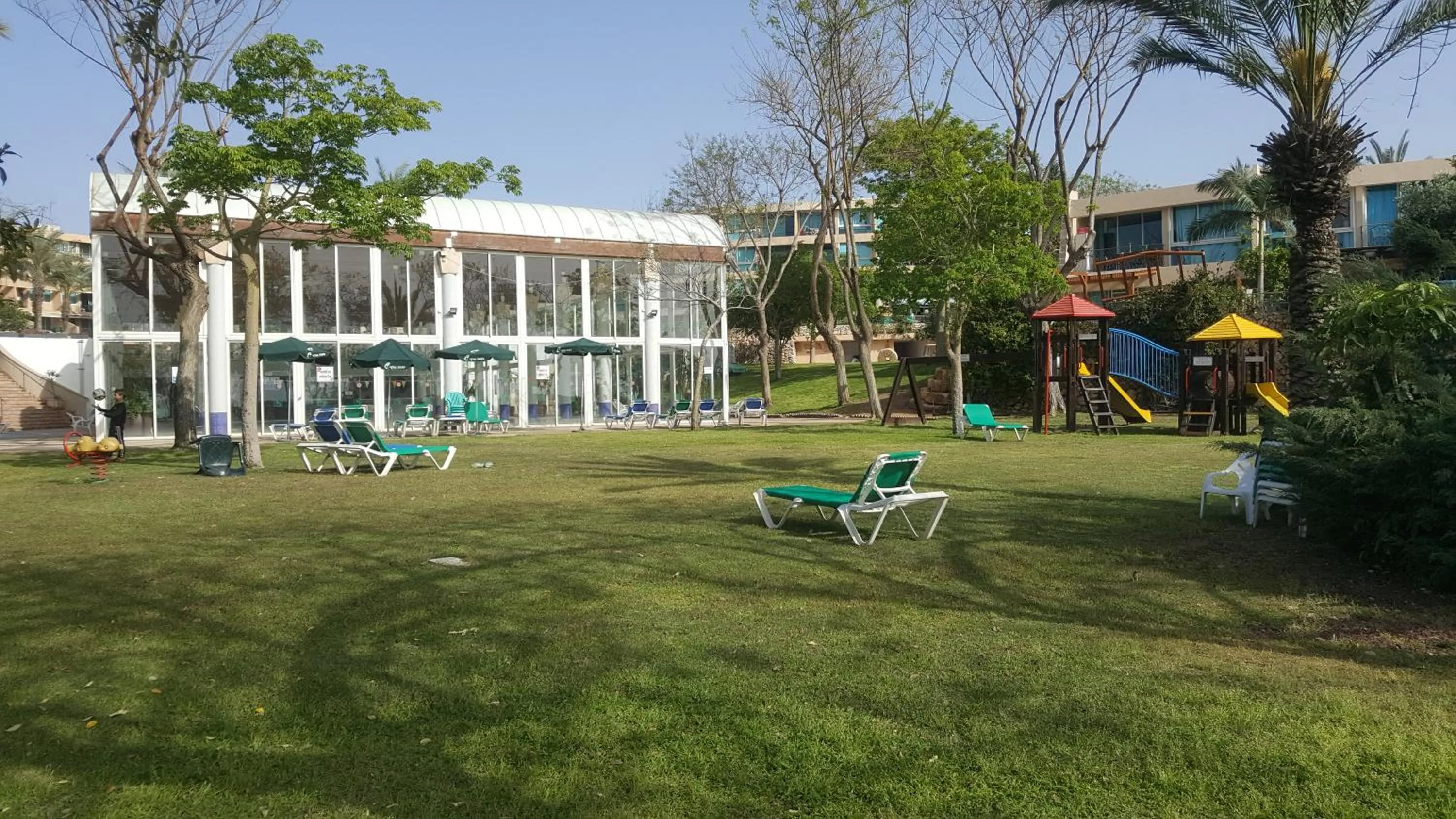 Swimming pool in Neot Golf, Ziv's Place