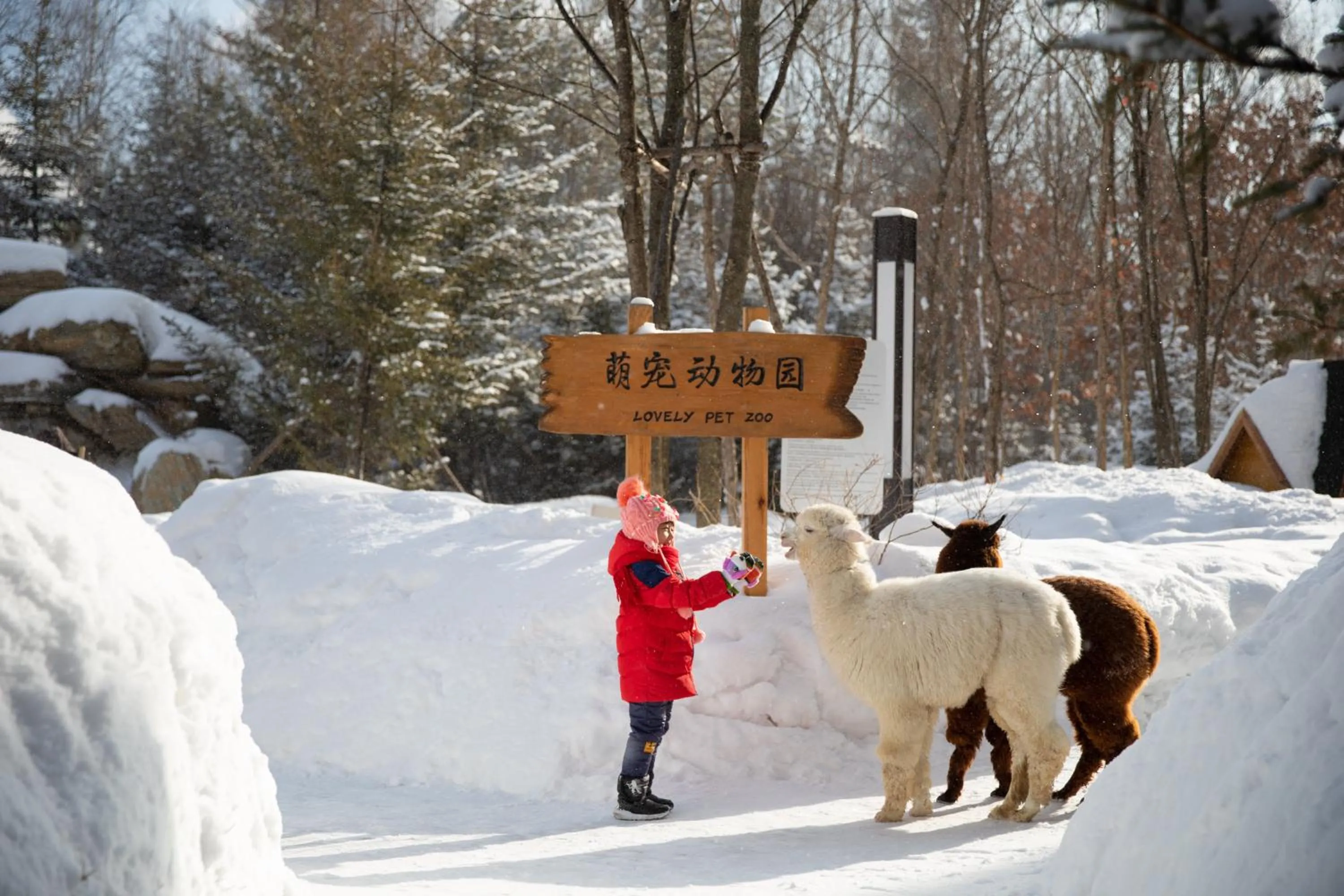 Fitness centre/facilities in Crowne Plaza Resort Changbaishan Hot Spring by IHG