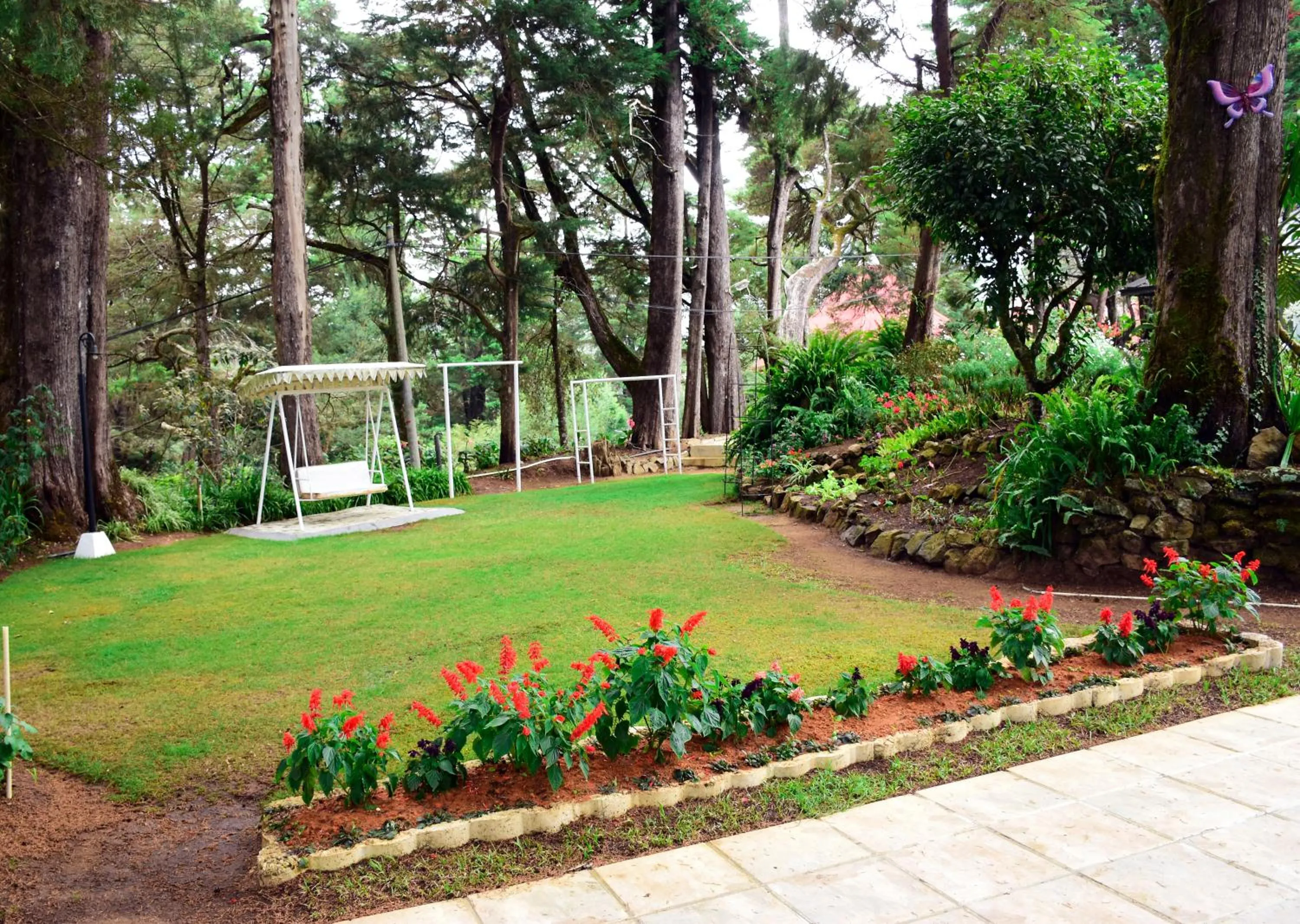 Garden in Mirage Kings Cottage