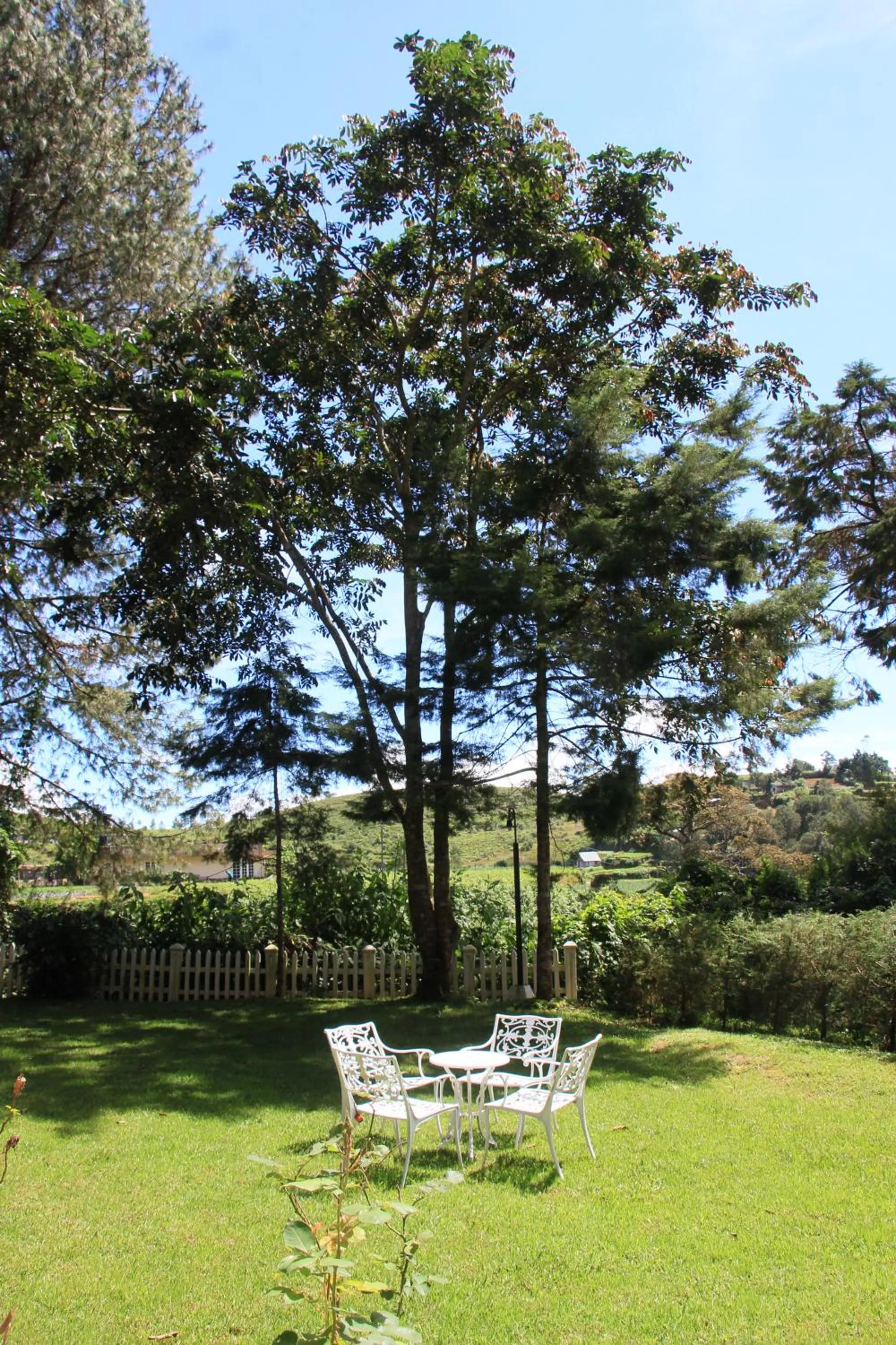 Garden in Mirage Kings Cottage