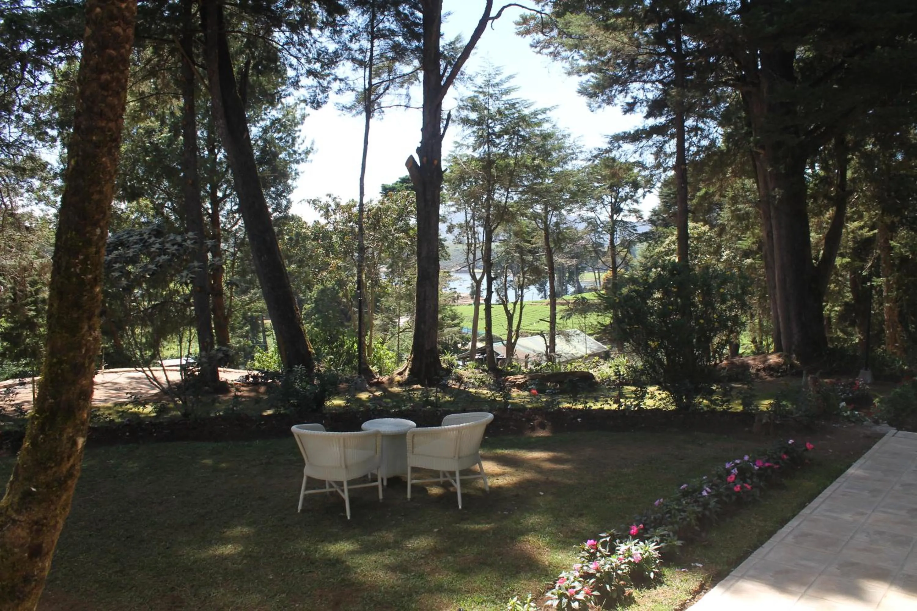 Garden in Mirage Kings Cottage