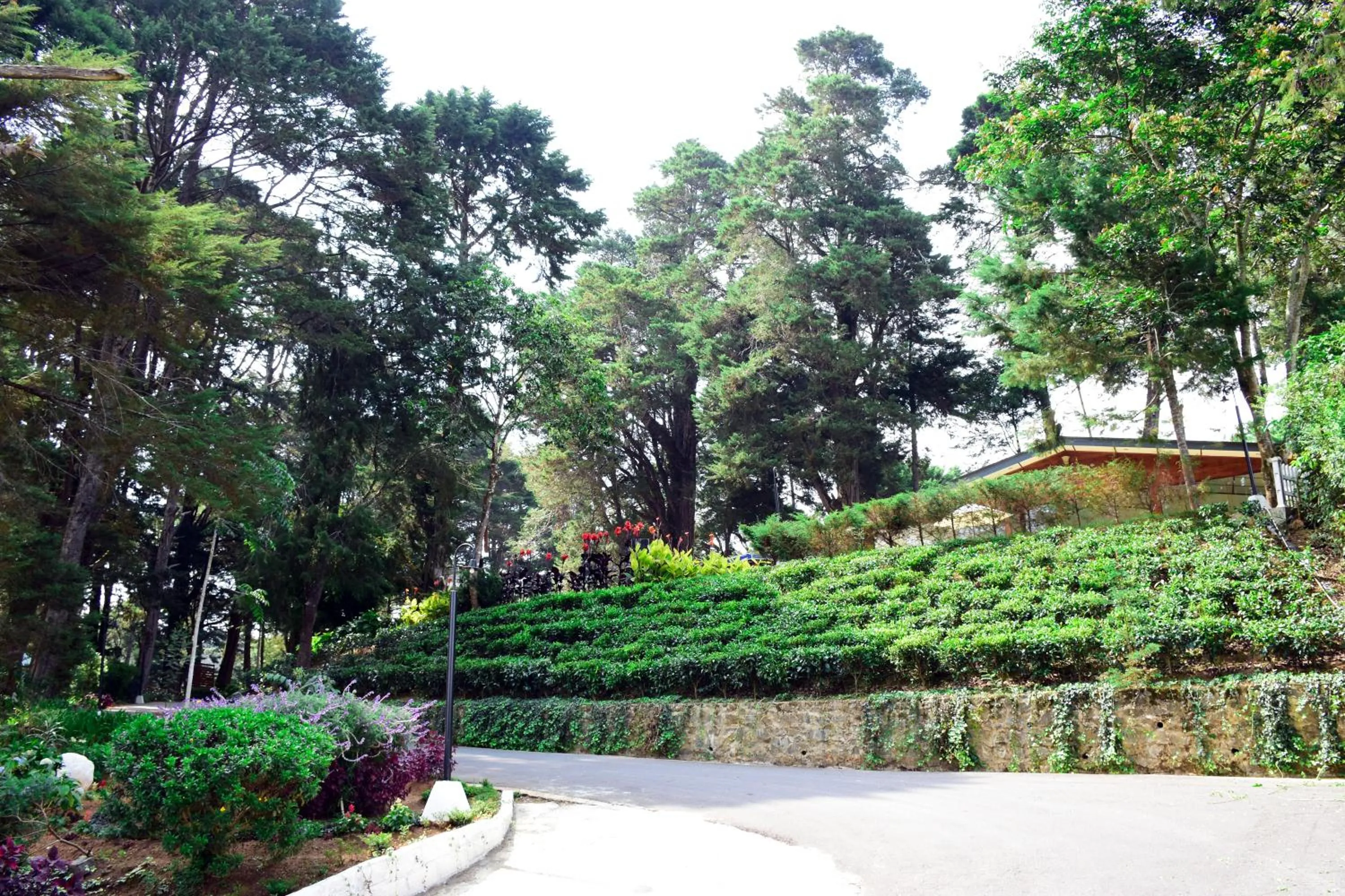 Garden in Mirage Kings Cottage