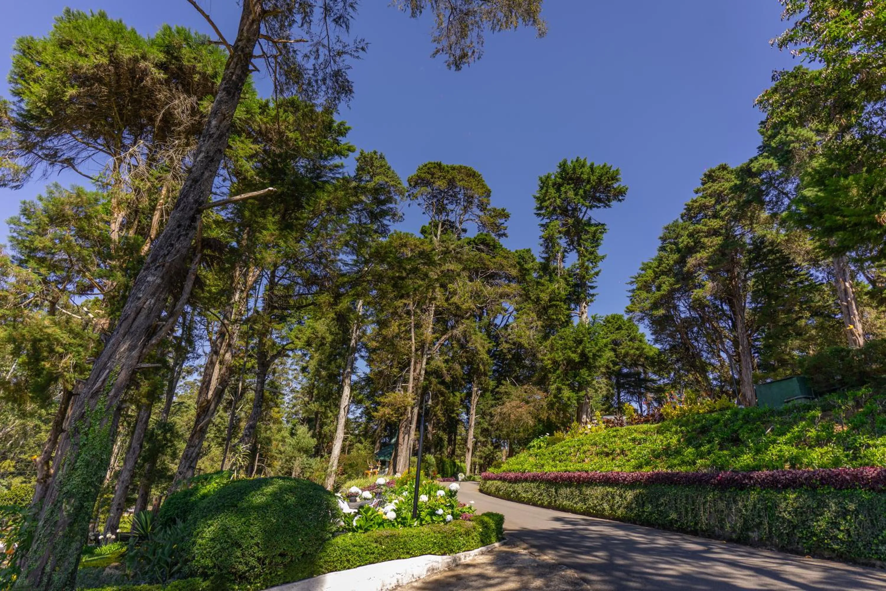 Spring in Mirage Kings Cottage