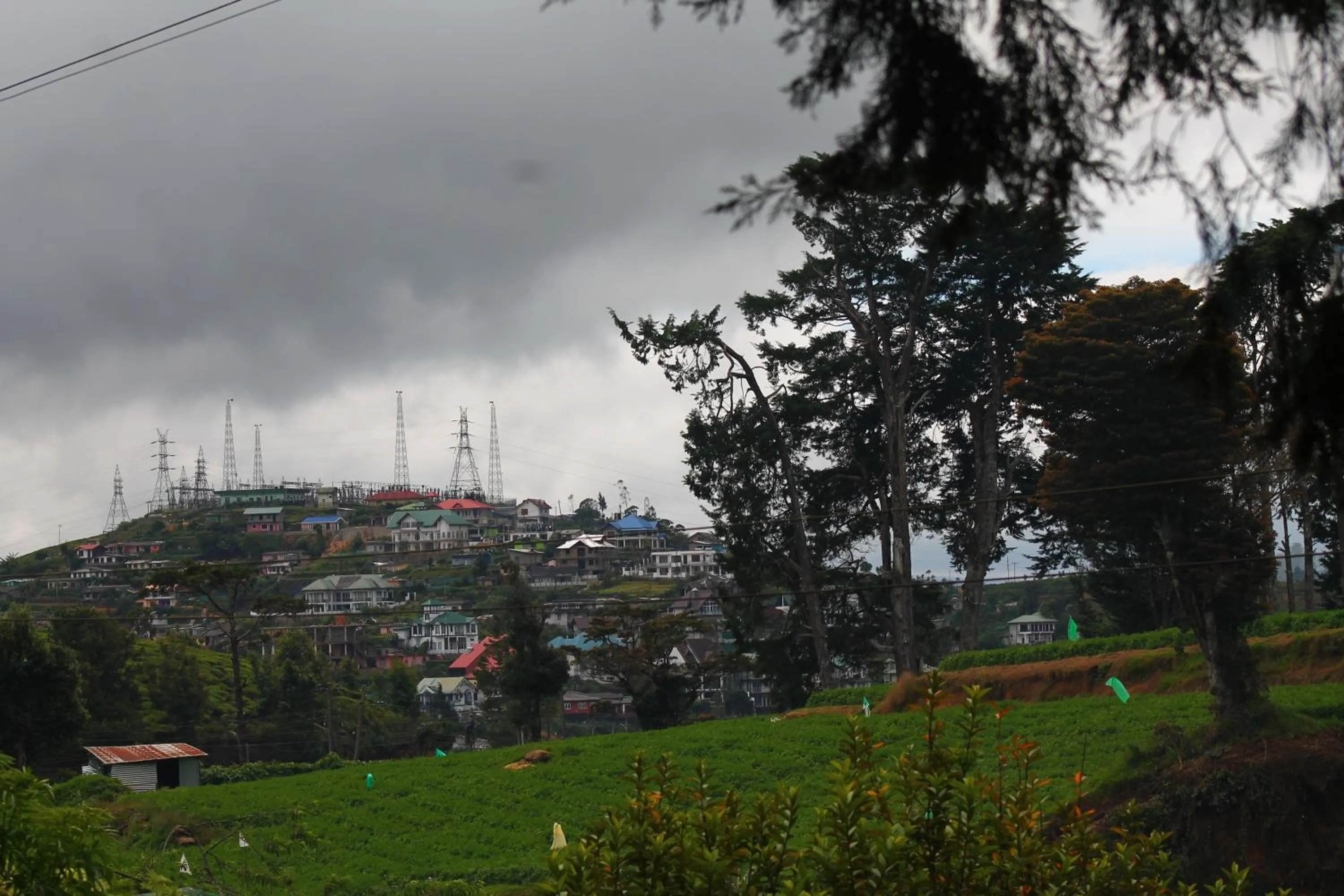 Natural landscape in Mirage Kings Cottage