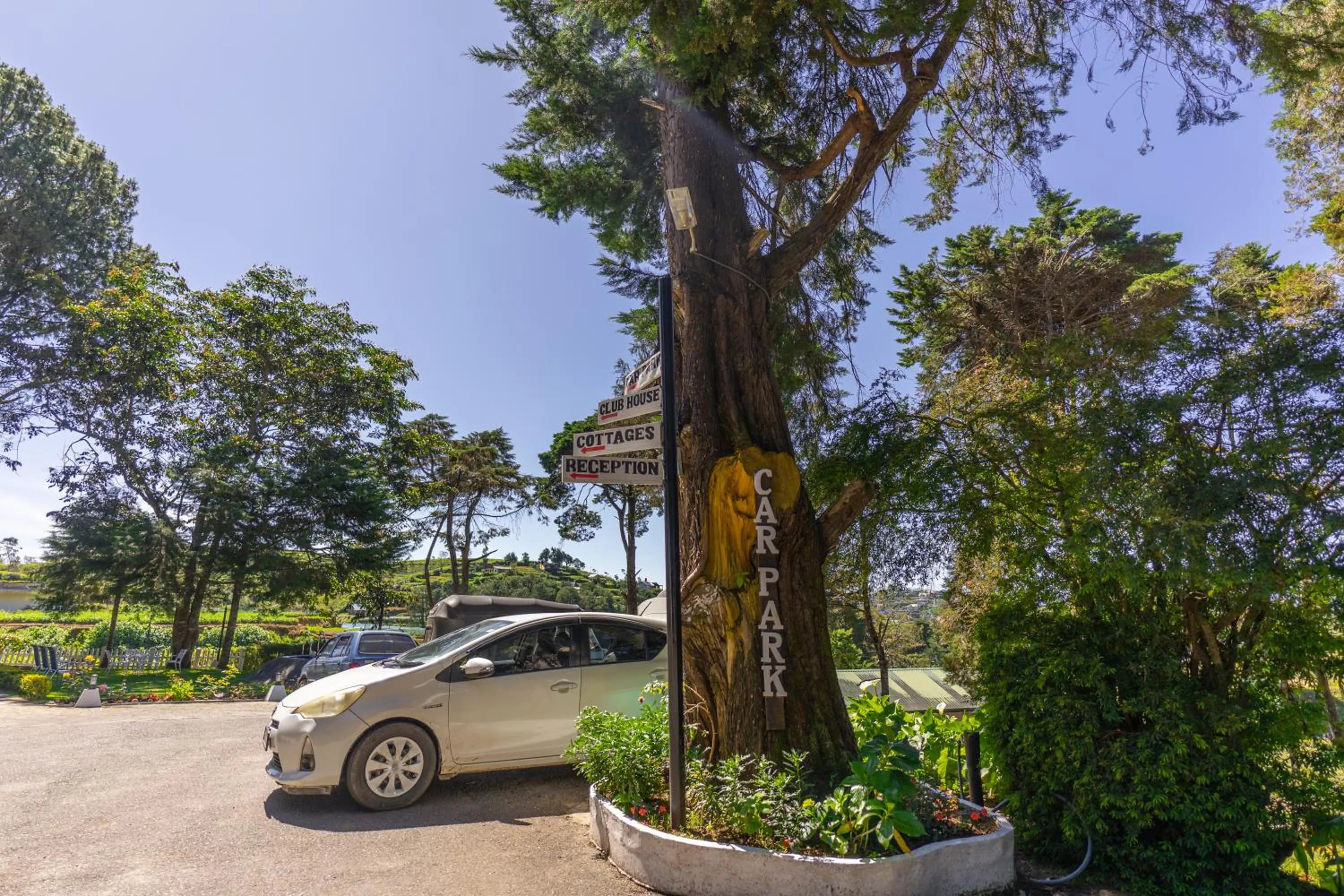 Natural landscape in Mirage Kings Cottage