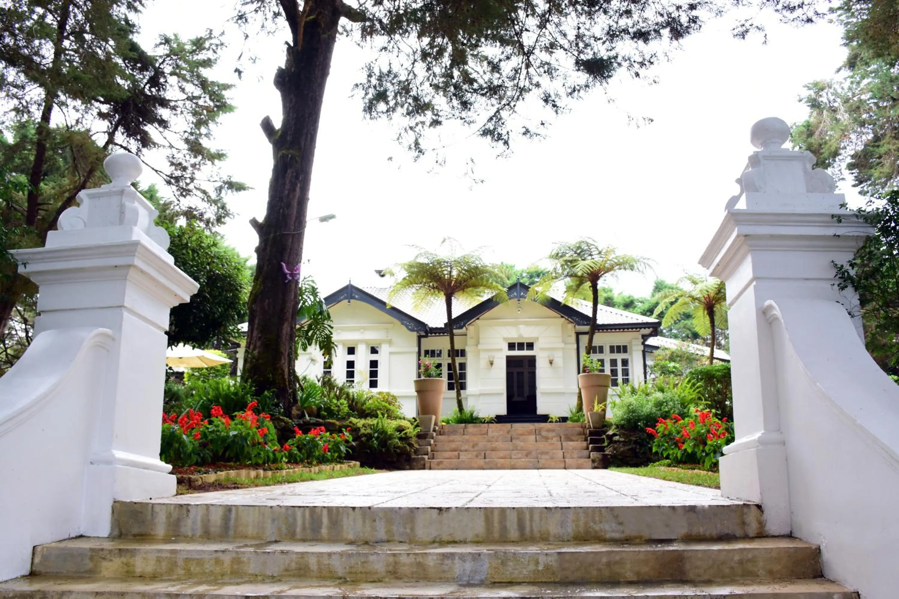 Garden in Mirage Kings Cottage