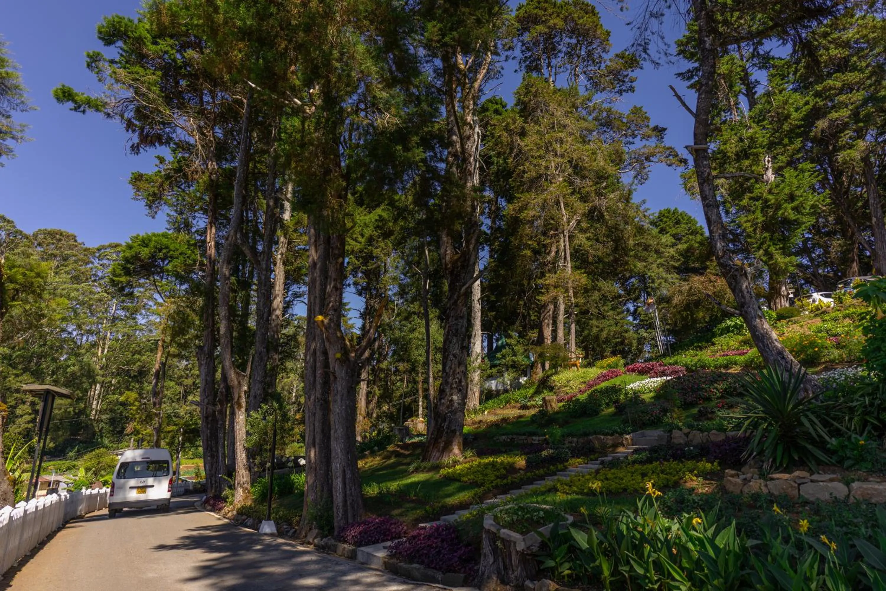 Natural landscape in Mirage Kings Cottage