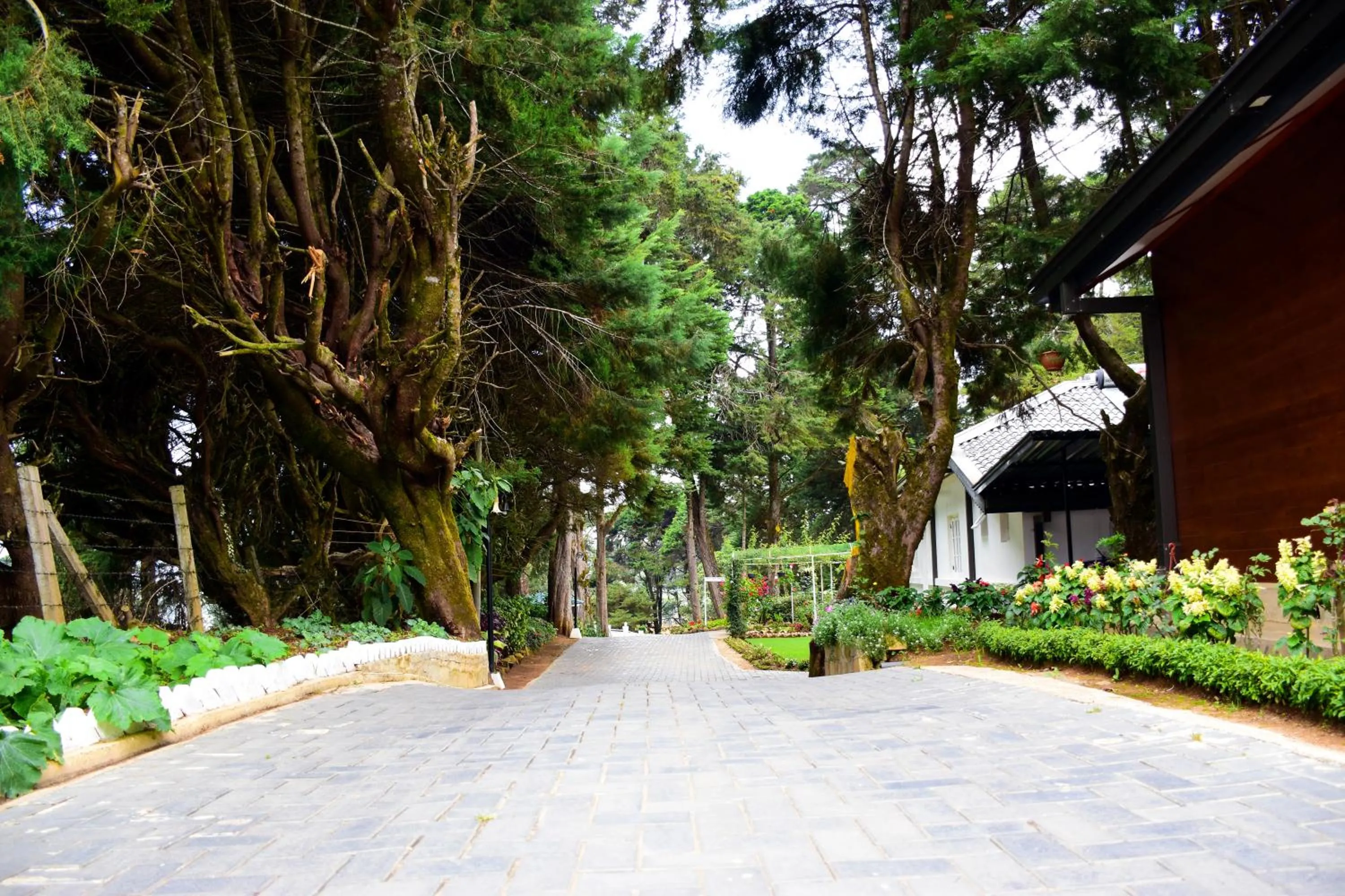 Garden in Mirage Kings Cottage