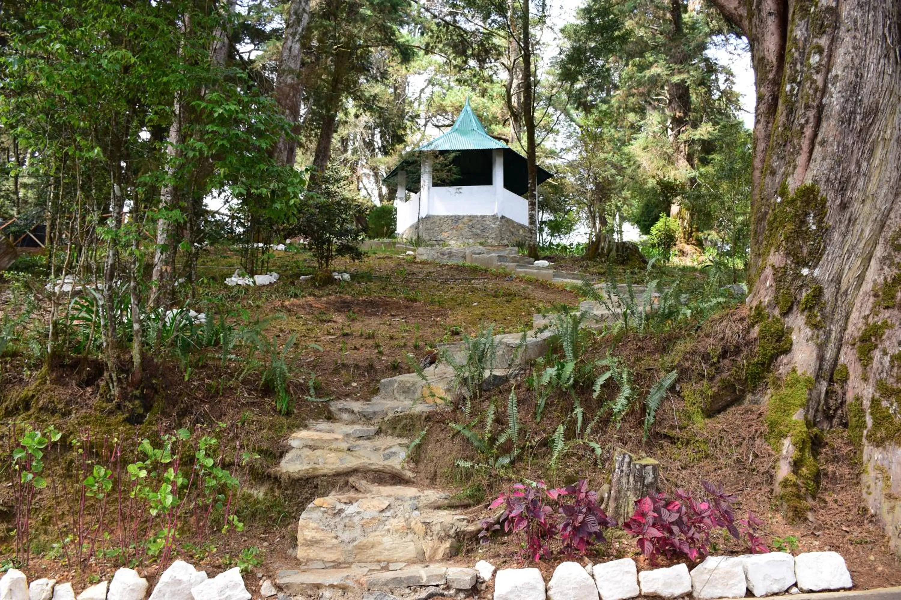 Garden view in Mirage Kings Cottage
