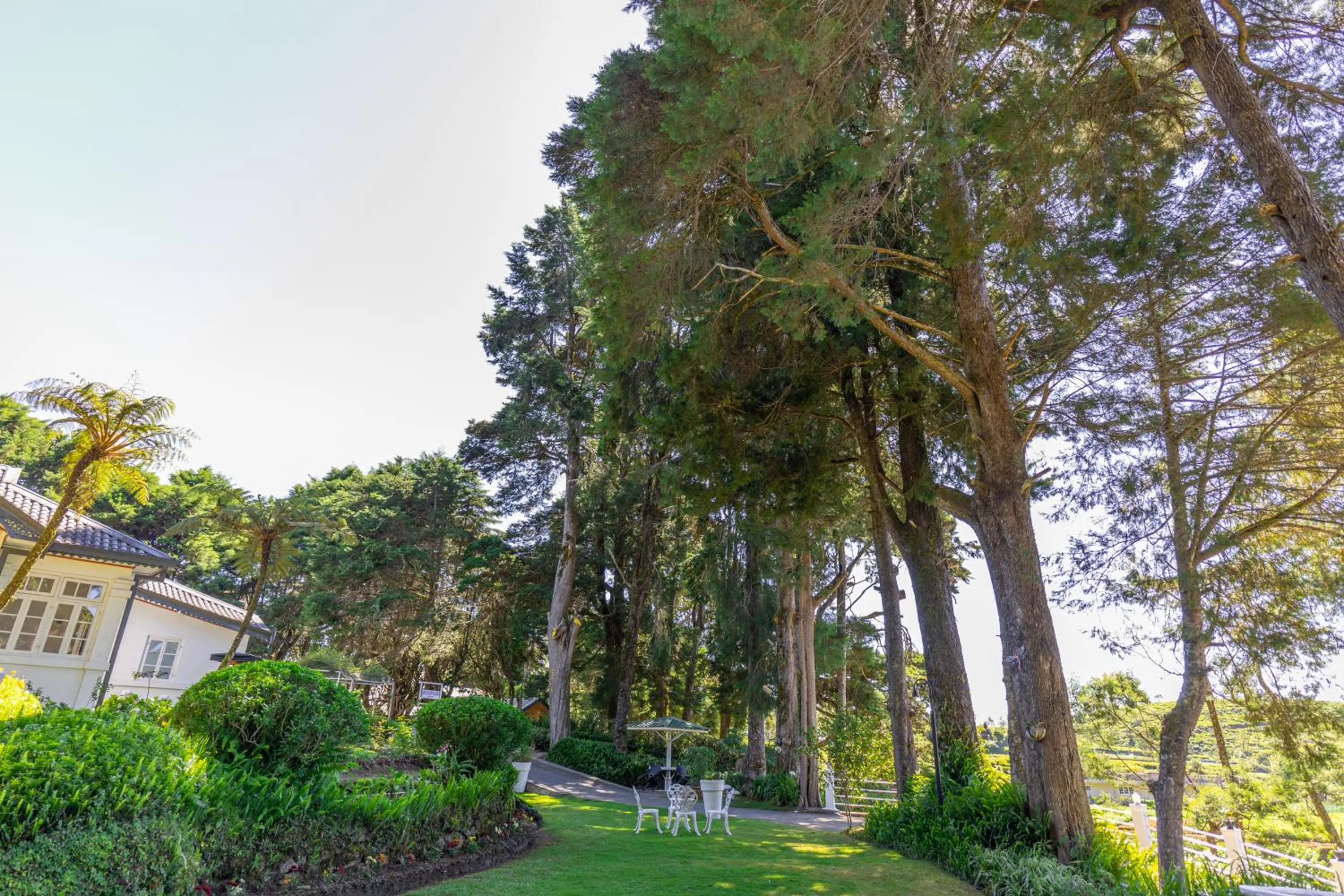 Natural landscape in Mirage Kings Cottage