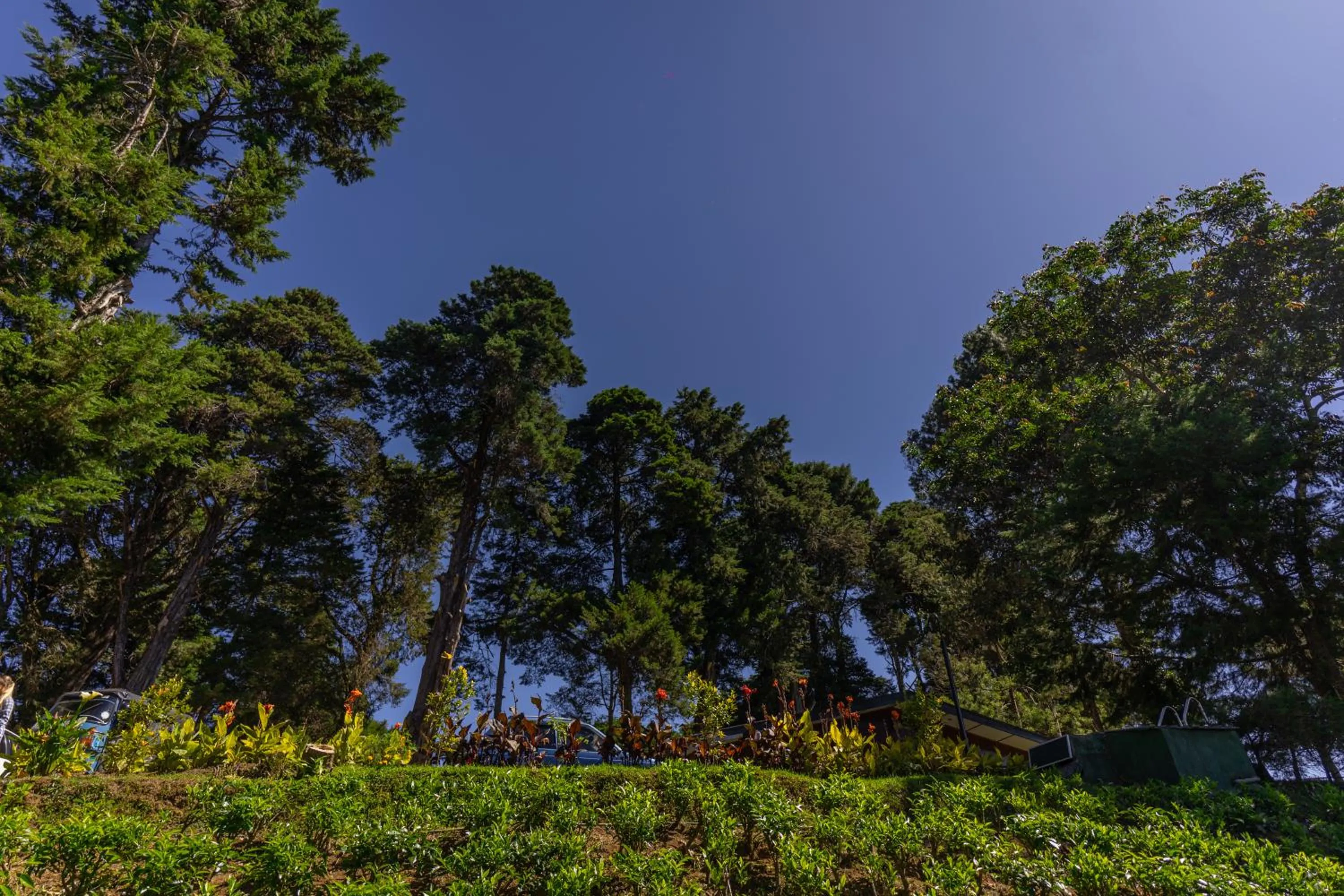 Natural landscape in Mirage Kings Cottage