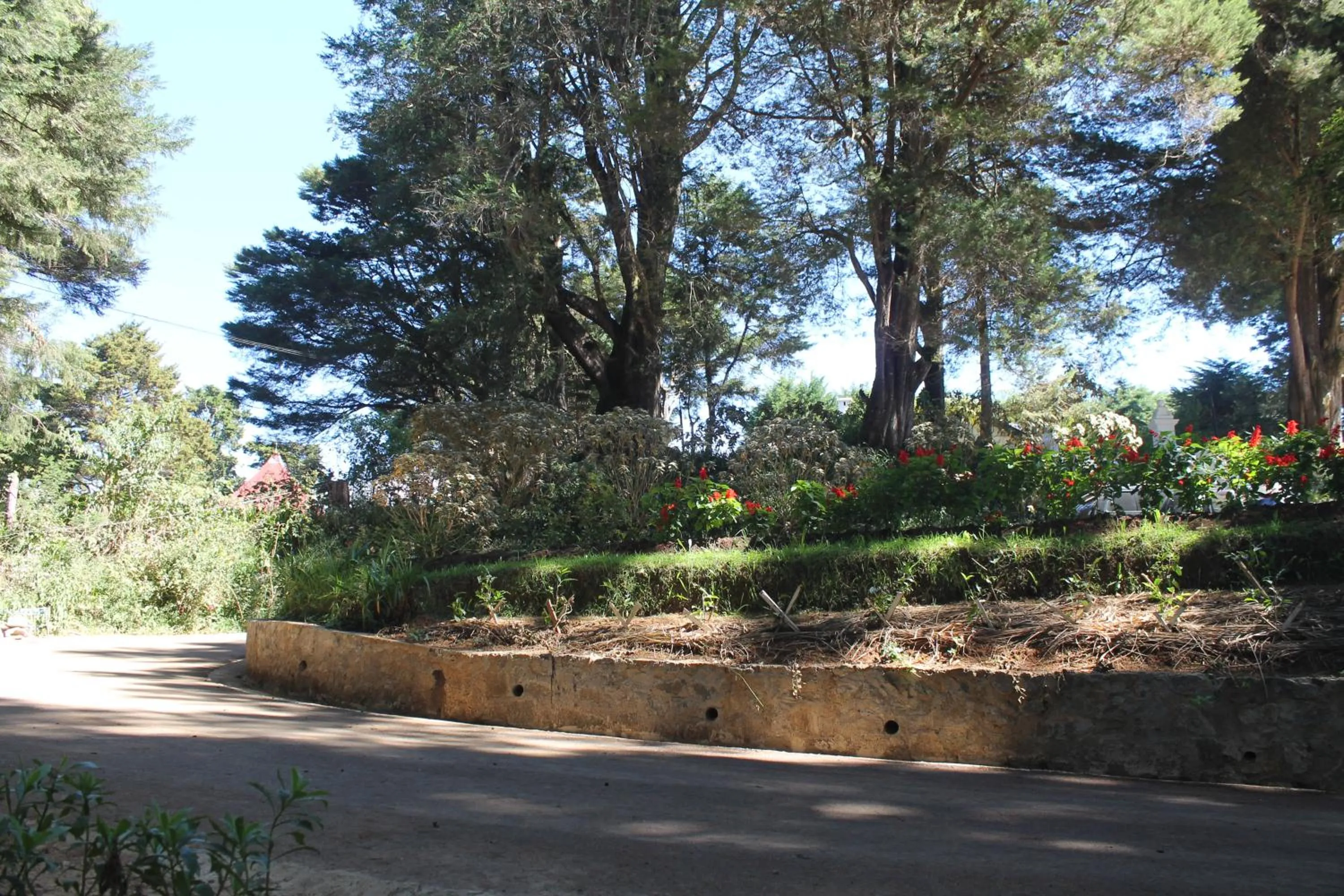 Garden in Mirage Kings Cottage