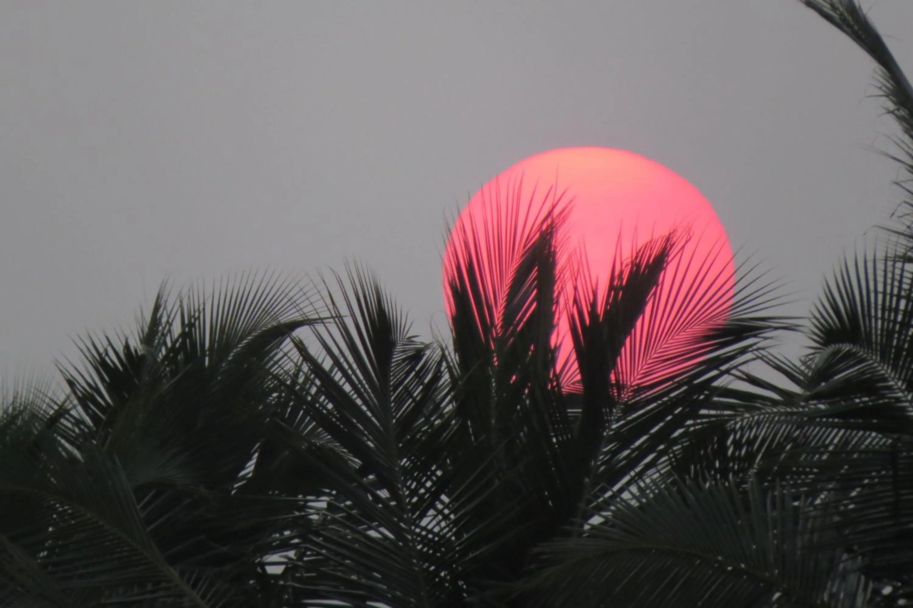 Sunset in Sailors Mirissa