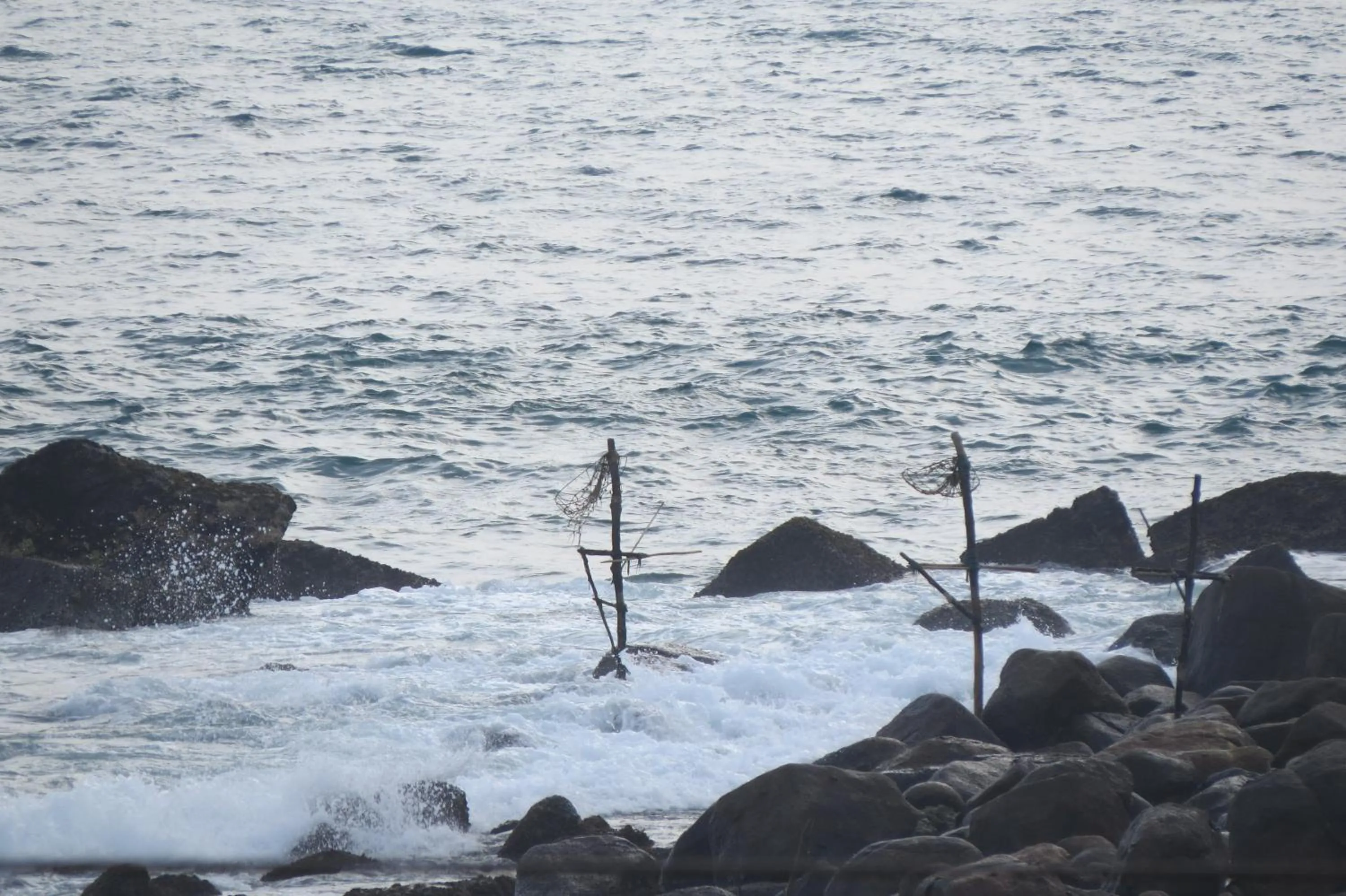 Natural landscape in Sailors Mirissa