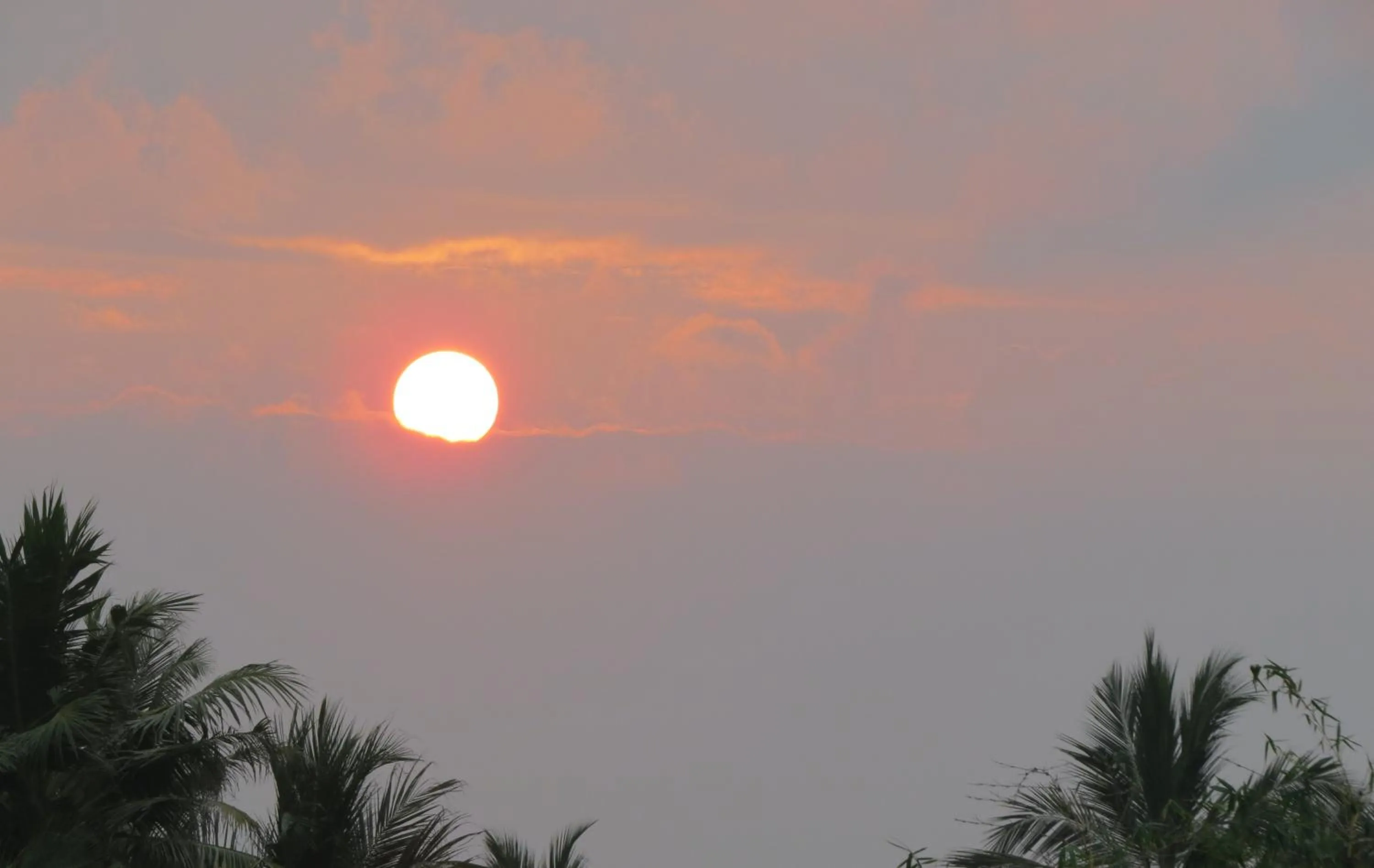 View (from property/room) in Sailors Mirissa