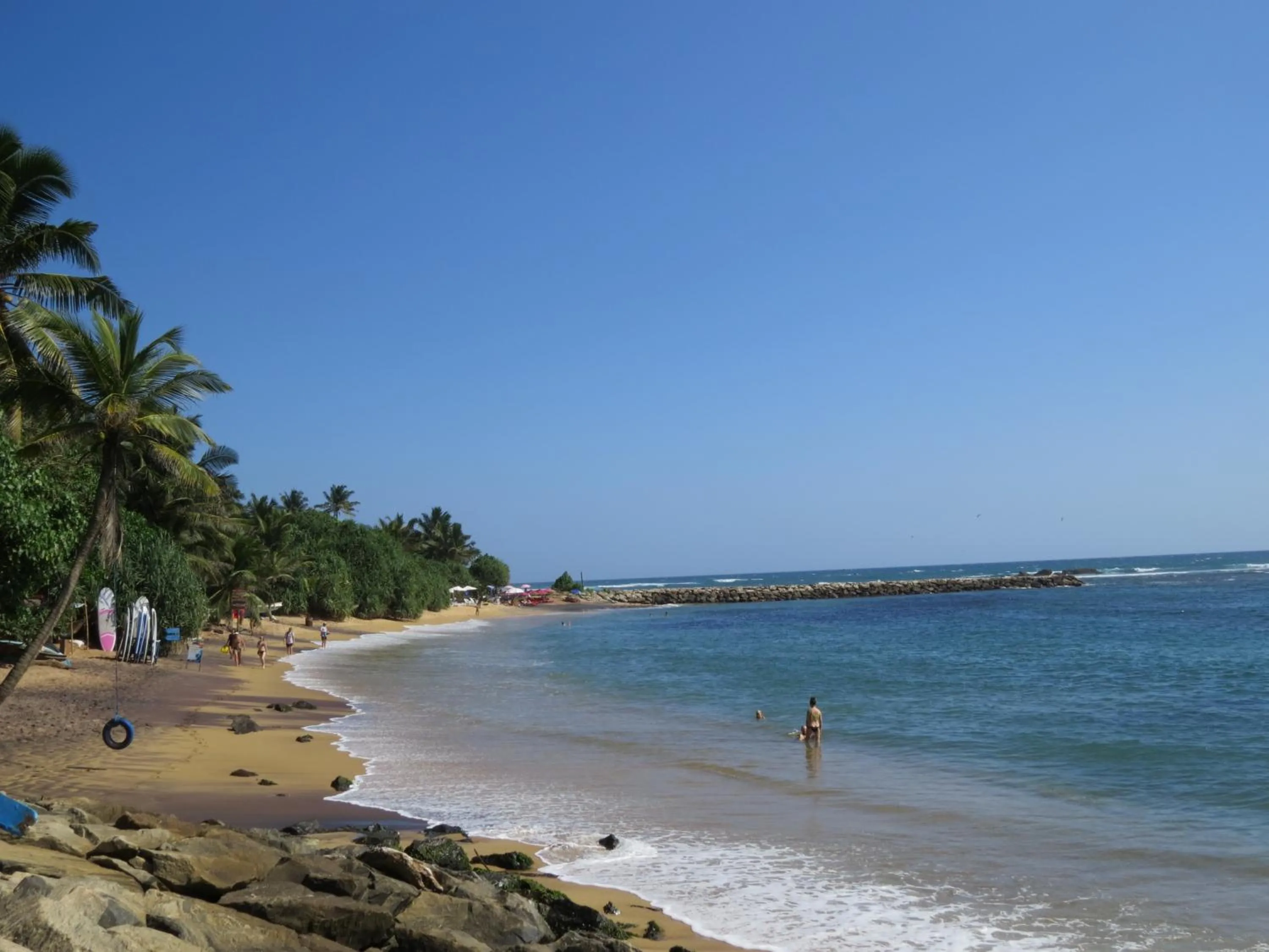 Natural landscape in Sailors Mirissa
