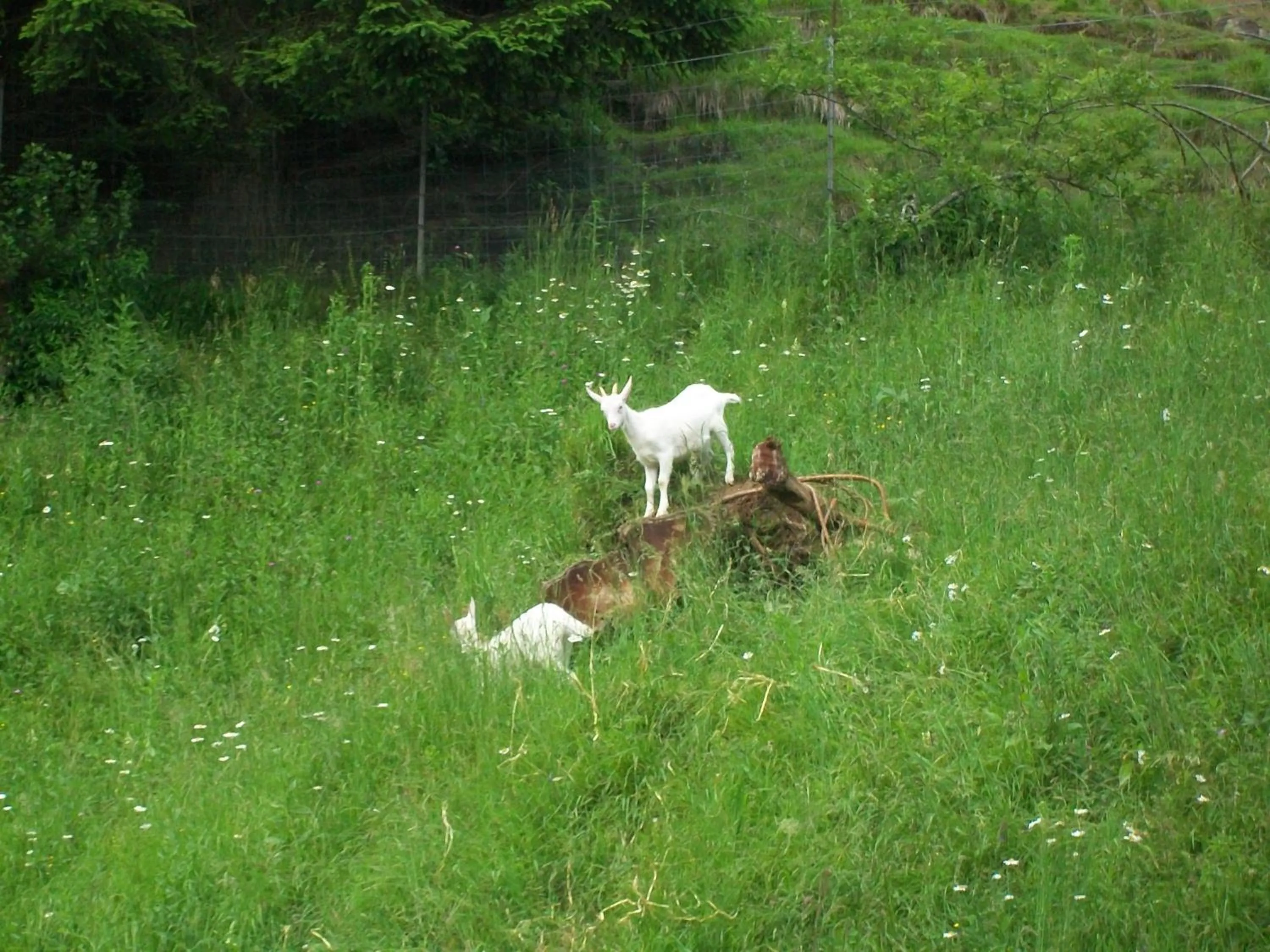 Other in B&B IN FATTORIA