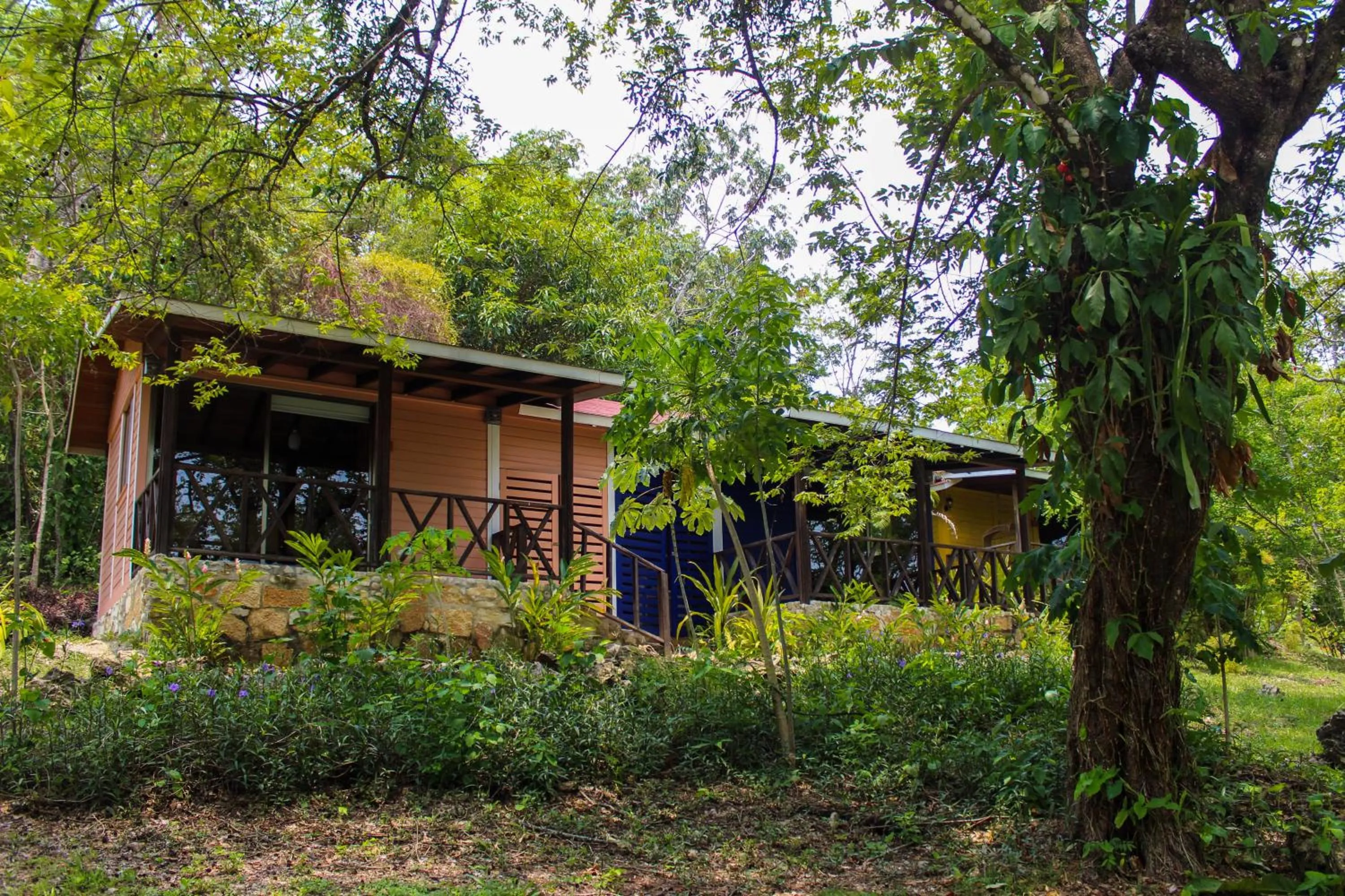 Garden view in Winíka Alterra